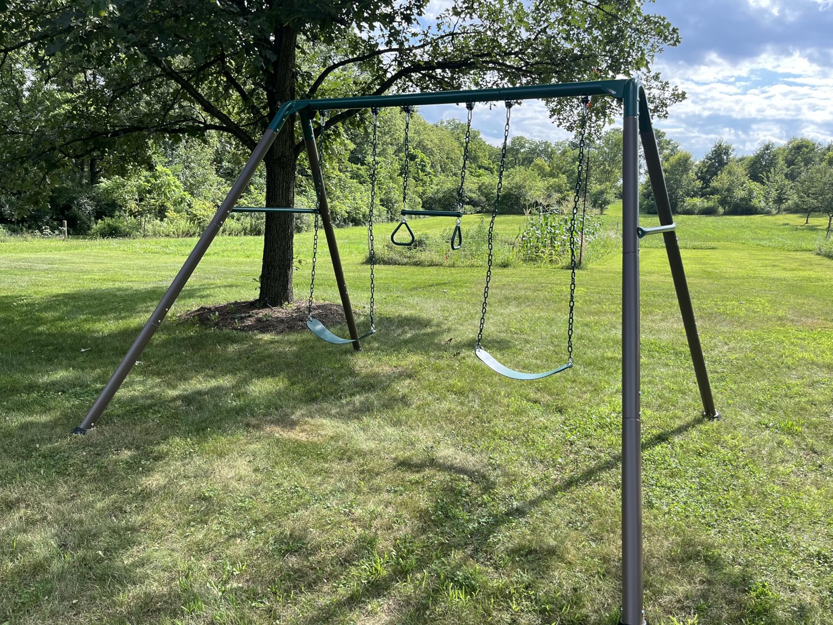 Lifetime Metal Swing Set for Kids, Outdoor Heavy Duty Playset customer photo 2