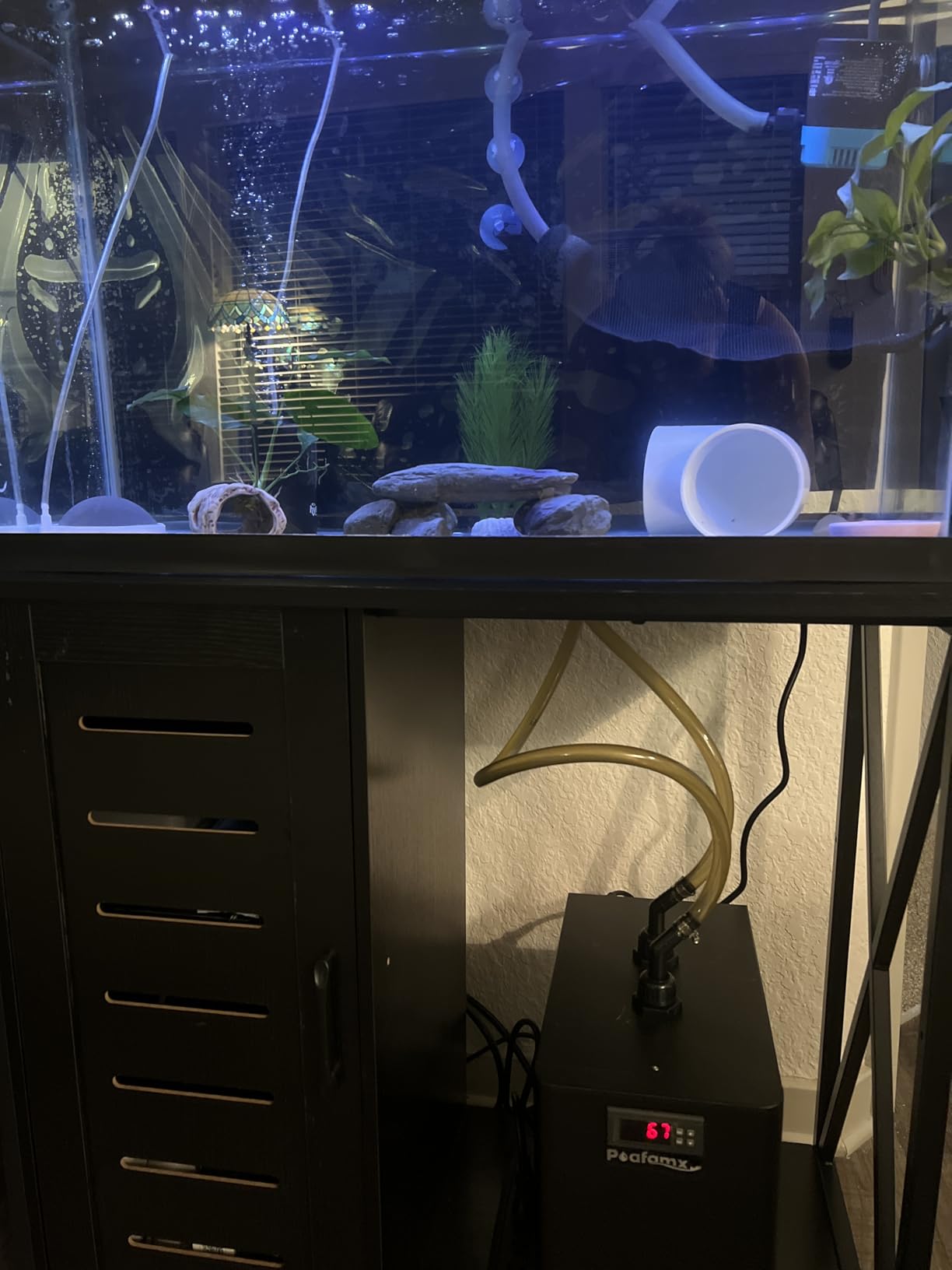 Poafamx 42gal Aquarium Chiller, 1/10 HP Water Chiller with Quiet Compressor for Hydroponics System, Coral Reef Tank, Axolotl & Jellyfish, 160L Freshwater Saltwater Cooling System customer photo 1