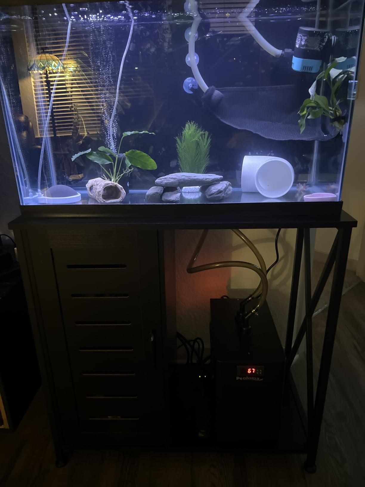 Poafamx 42gal Aquarium Chiller, 1/10 HP Water Chiller with Quiet Compressor for Hydroponics System, Coral Reef Tank, Axolotl & Jellyfish, 160L Freshwater Saltwater Cooling System customer photo 2