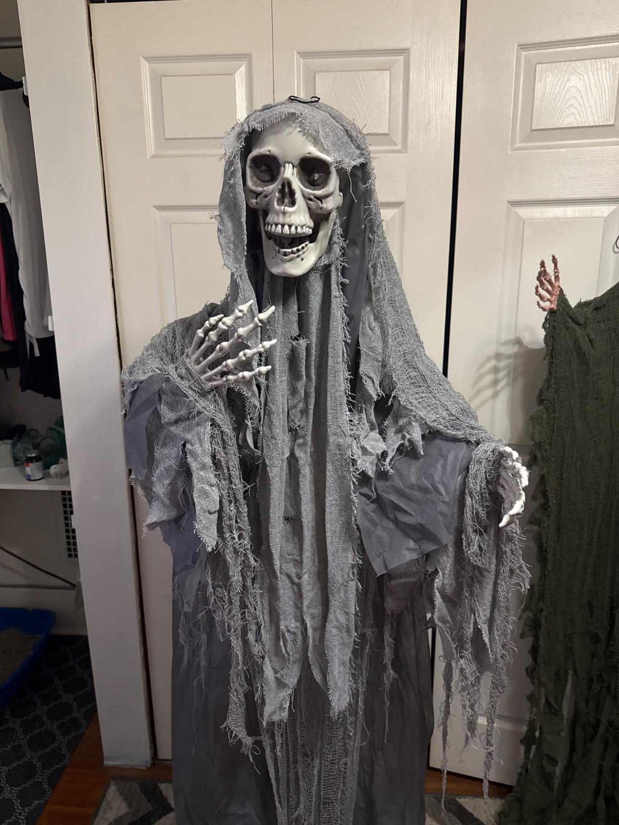 Haunted Hill Farm Life-Size Scary Skeleton Reaper Holding Staff, Halloween Animatronic with Touch Activated Lights and Sound, Battery Operated Indoor or Covered Outdoor Halloween Decorations for Home customer photo 1
