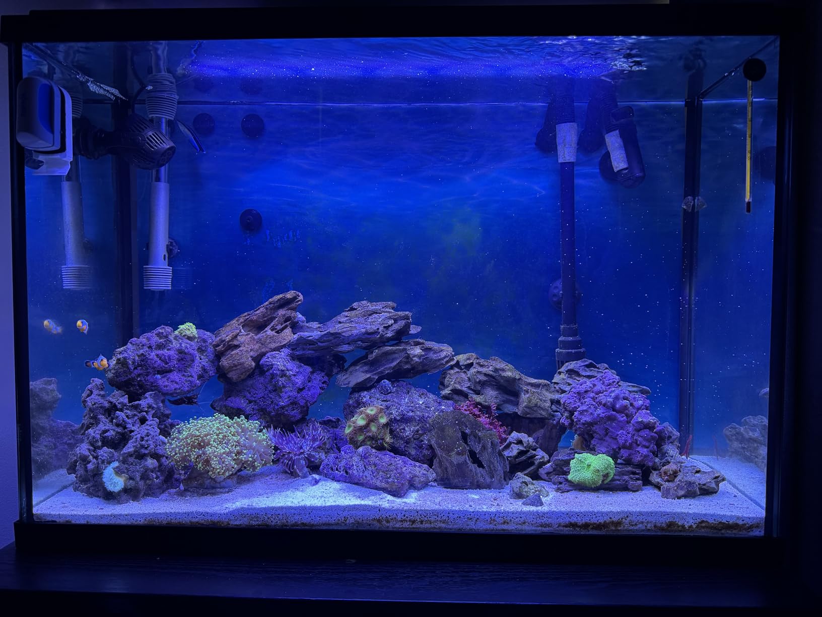 AI Nero 3 Submersible Wavemaker Pump with Fish Guard, 2,000 GPH Powerful Water Flow for Saltwater & Reef Aquariums, Compact Quiet Pump with Magnetic Mount customer photo 1