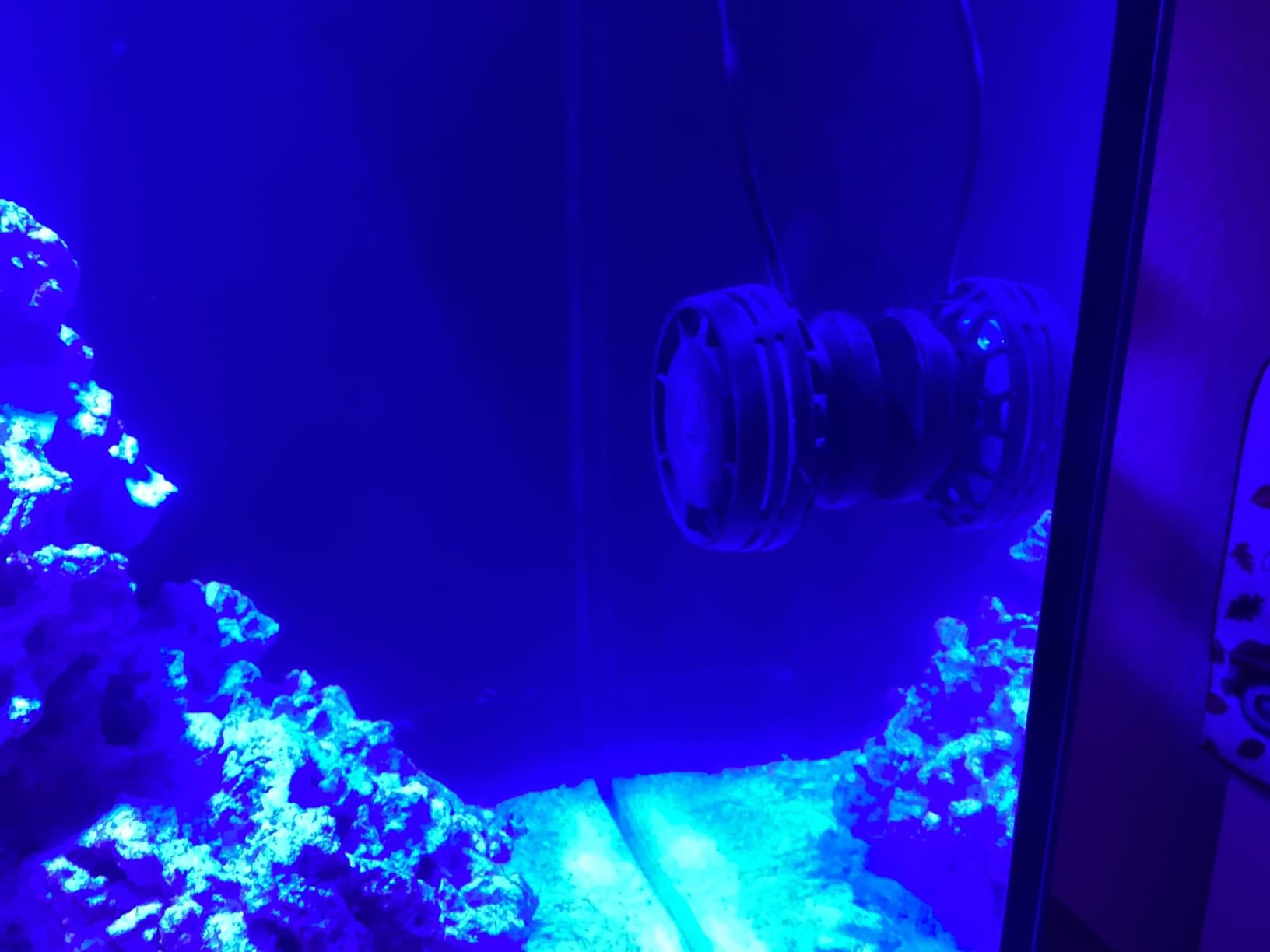 AI Nero 3 Submersible Wavemaker Pump with Fish Guard, 2,000 GPH Powerful Water Flow for Saltwater & Reef Aquariums, Compact Quiet Pump with Magnetic Mount customer photo 2