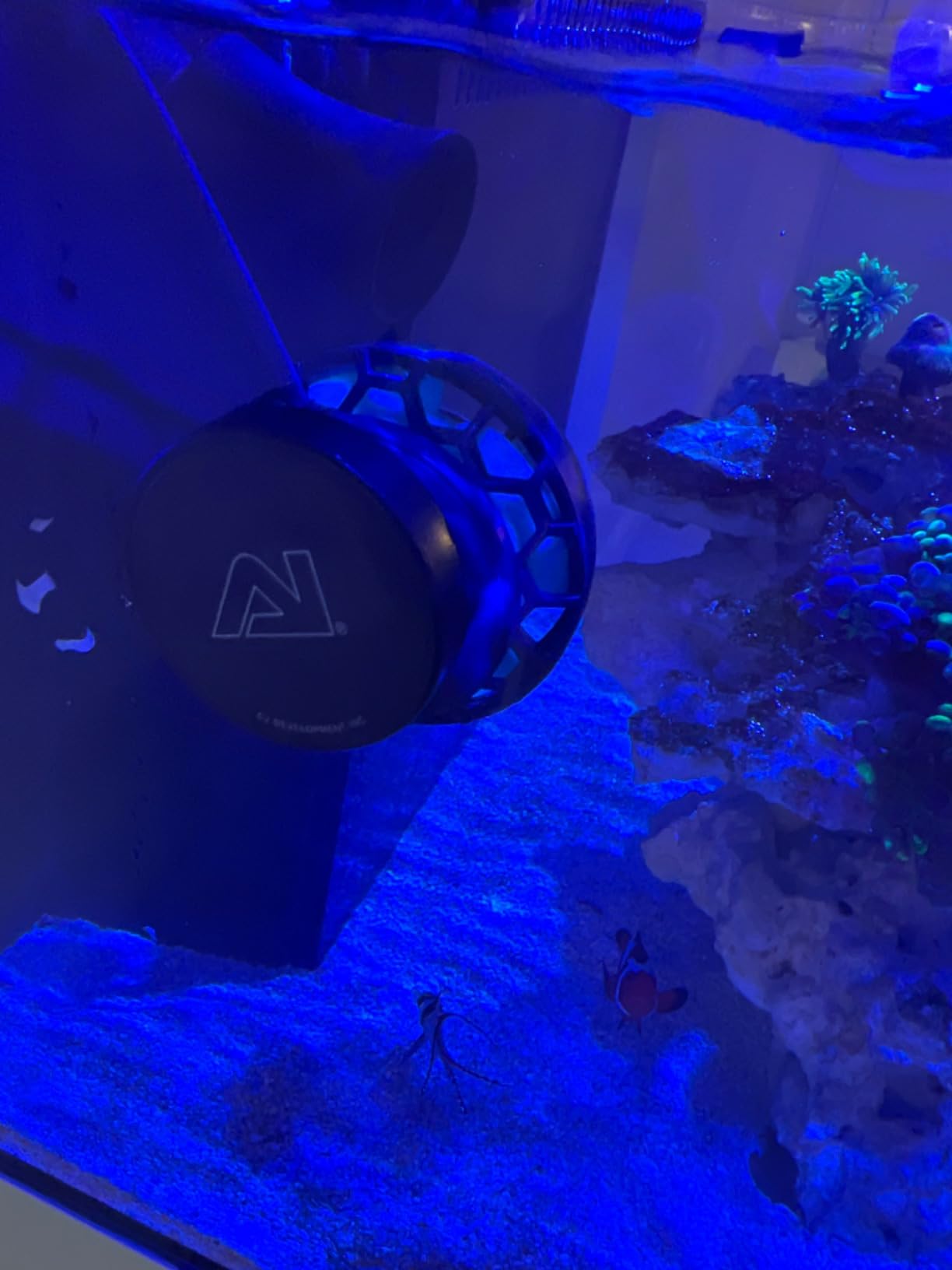 AI Nero 3 Submersible Wavemaker Pump with Fish Guard, 2,000 GPH Powerful Water Flow for Saltwater & Reef Aquariums, Compact Quiet Pump with Magnetic Mount customer photo 3