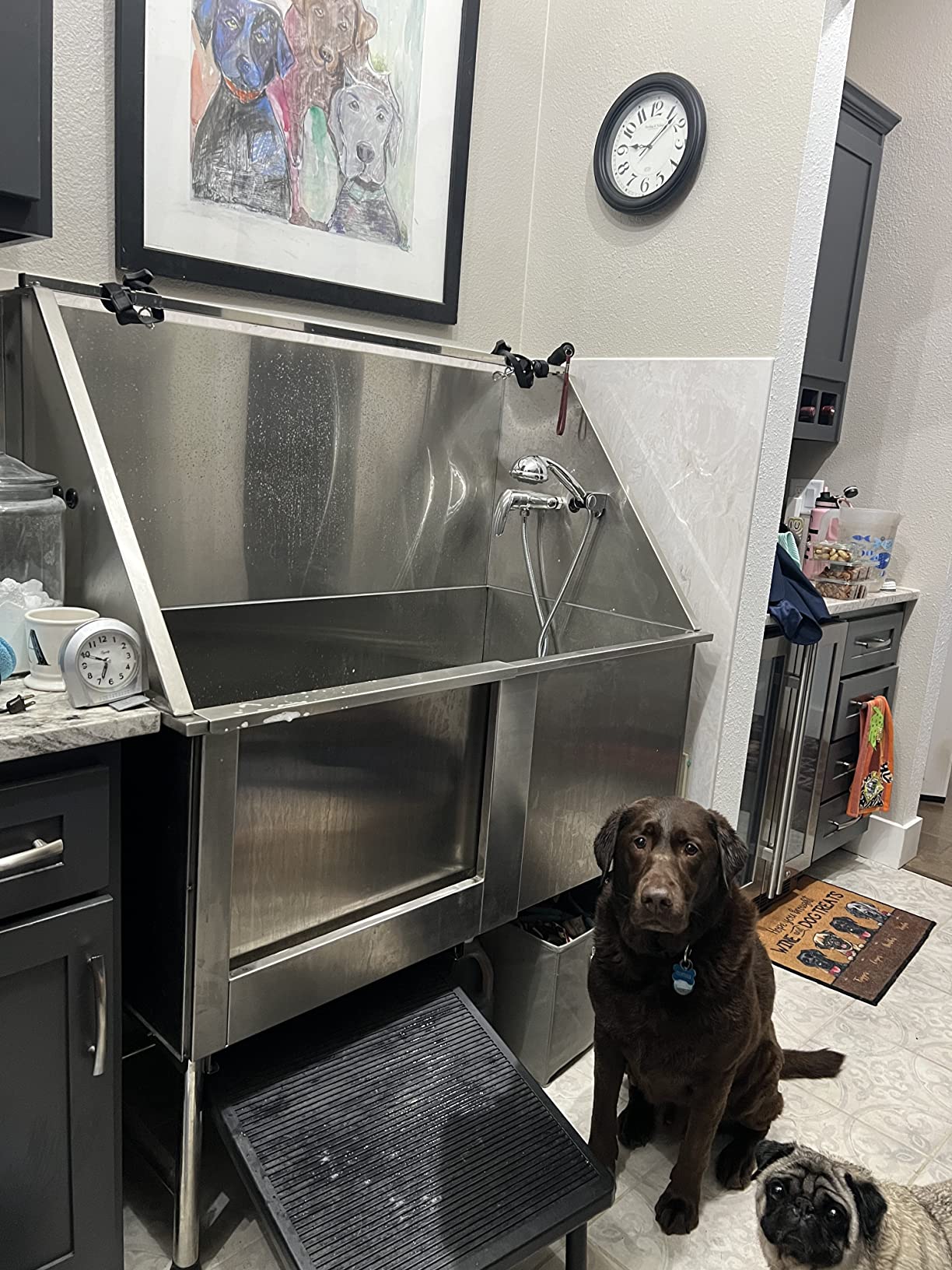 Stainless Steel Dog Grooming Bath Tub with Ramp, Faucet, Hoses and Loops (62