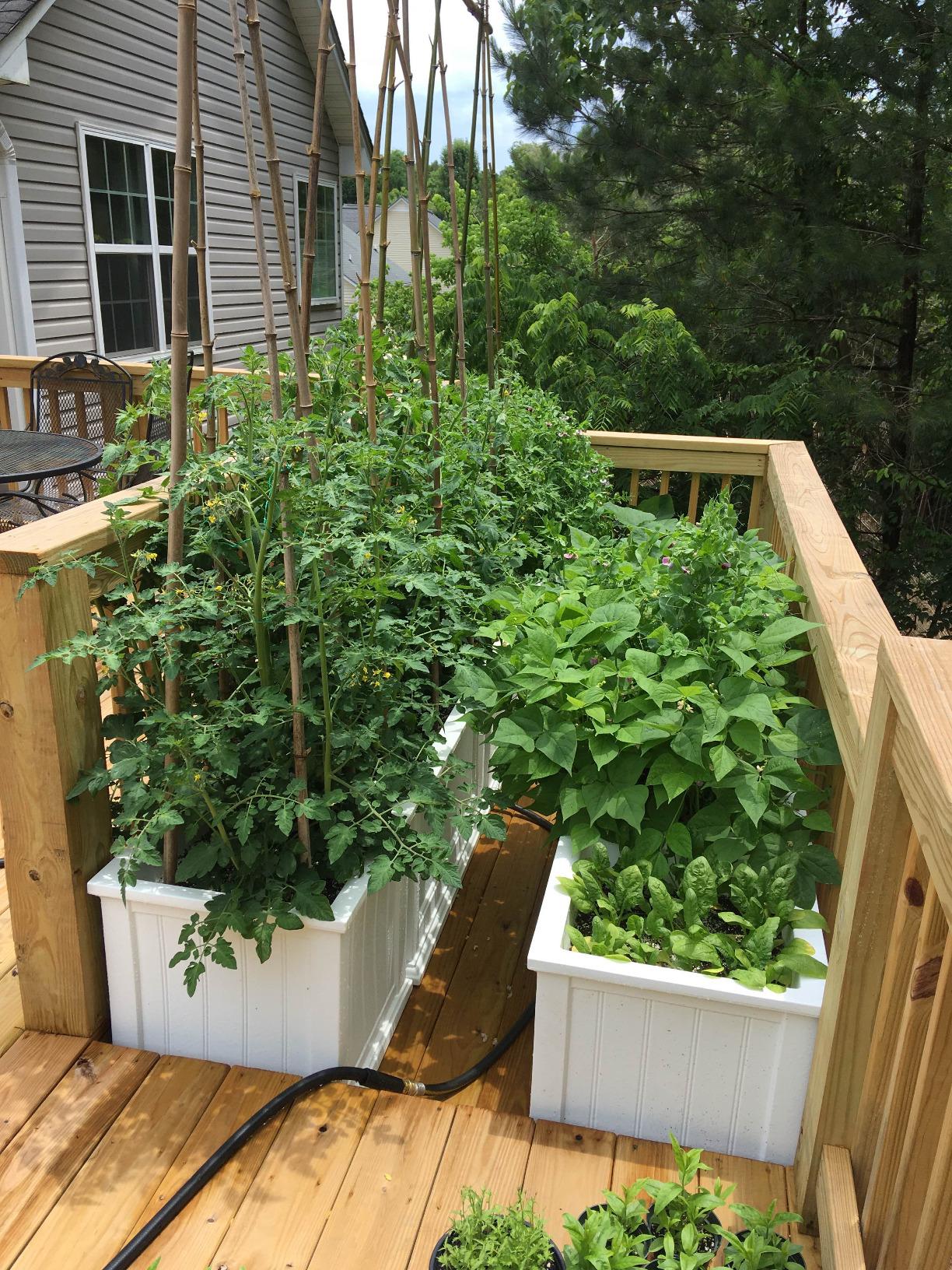 Mayne Fairfield 20x36-Inch Rectangular Planter - Self-Watering, Weather-Resistant Planter - Graphite Grey customer photo 2