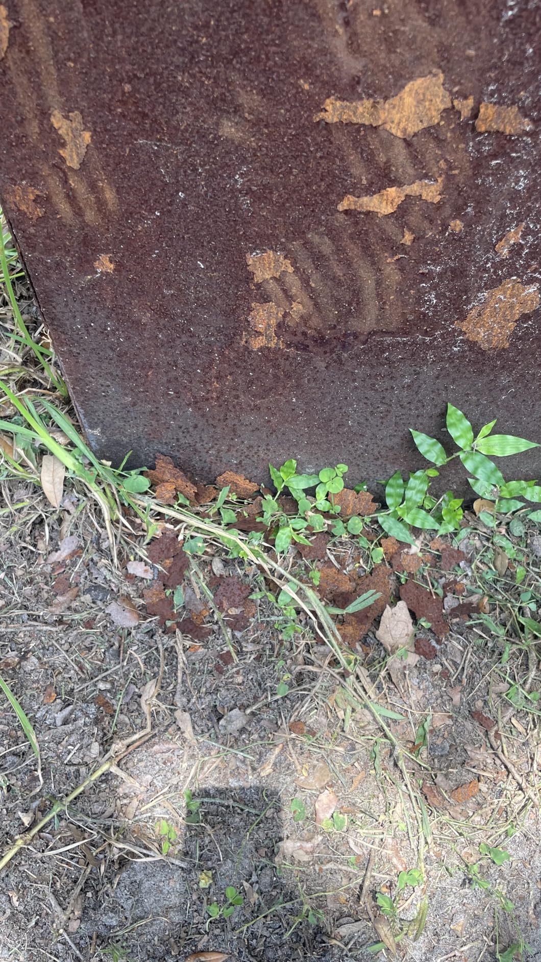 DIY CARTEL Corten Steel Rectangular Outdoor Planter Box, Rustic & Modern Farmhouse Design, Large Raised Metal Garden Bed (36in x 12in x 16in) customer photo 1
