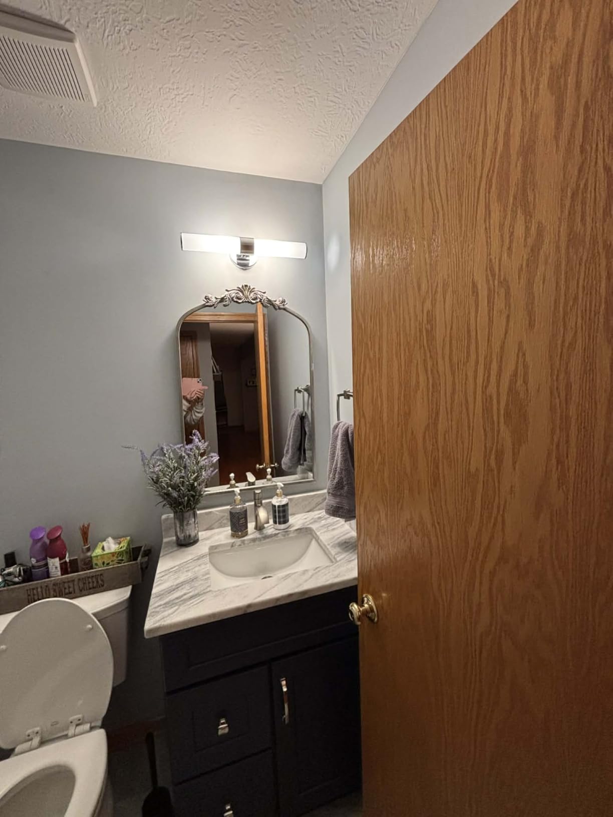 Kate and Laurel Arendahl Traditional Ornate Wall Mirror, 19 x 31, Antique Silver, Decorative Mirror with Baroque Inspired Detailing customer photo 1