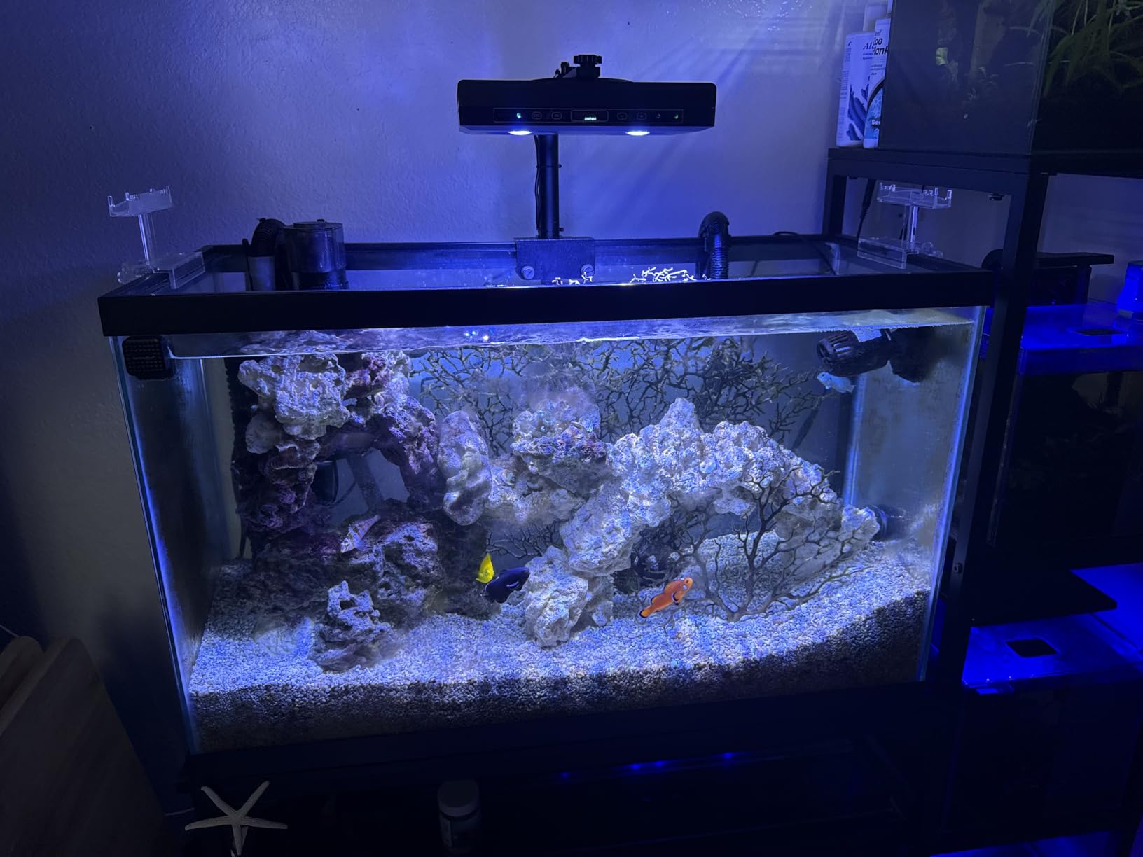 SMATFARM Aquarium Light - 95 Watt Sunrise Sunset Moonlight, Group Control Program Coral Reef Light Dimmable Full Spectrum for Marine Tanks, Saltwater Tank Light with Timer (Brackets) customer photo 1