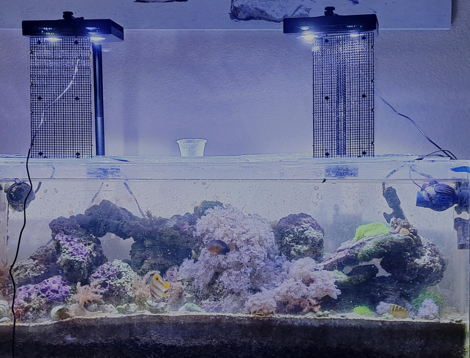 SMATFARM Aquarium Light - 95 Watt Sunrise Sunset Moonlight, Group Control Program Coral Reef Light Dimmable Full Spectrum for Marine Tanks, Saltwater Tank Light with Timer (Brackets) customer photo 2