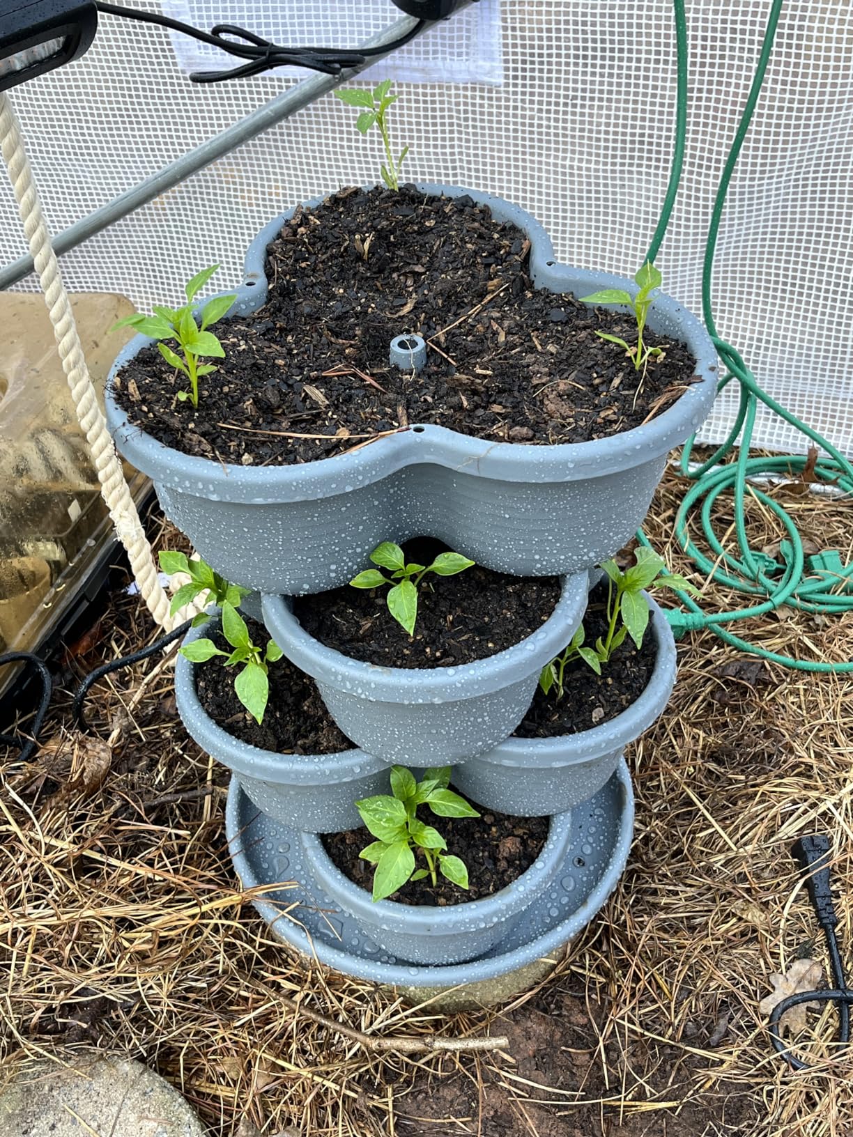 VIVOSUN 2-Pack 5 Tier Vertical Gardening Stackable Planter for Strawberries, Flowers, Herbs, Vegetables, Brown customer photo 2