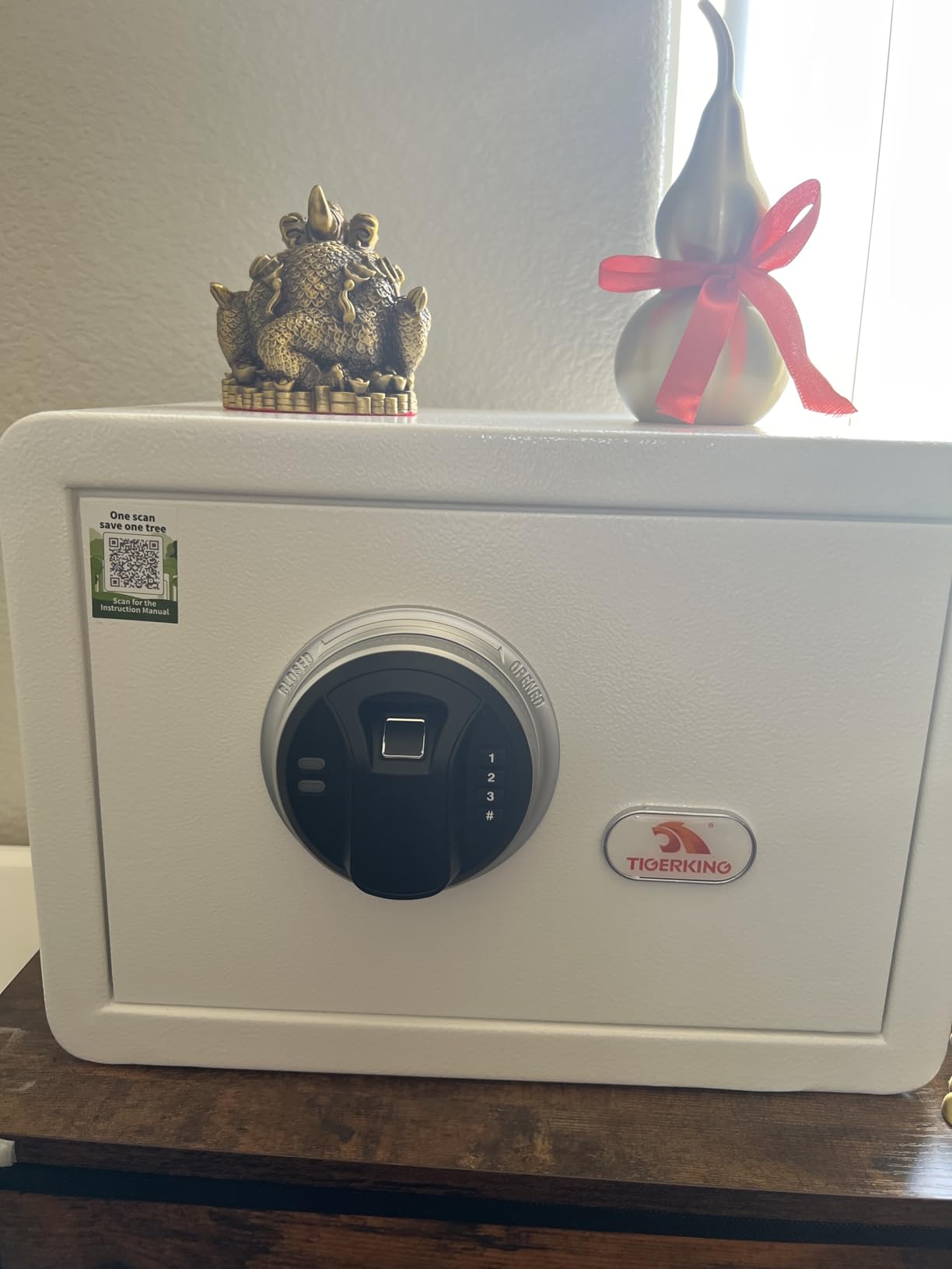 TIGERKING Biometric Fingerprint Home Safe, 1.2 Cubic Feet Digital Security Safe Lock Box, Quick-Access Small Safes for Cash, Jewelry, Document, White customer photo 1