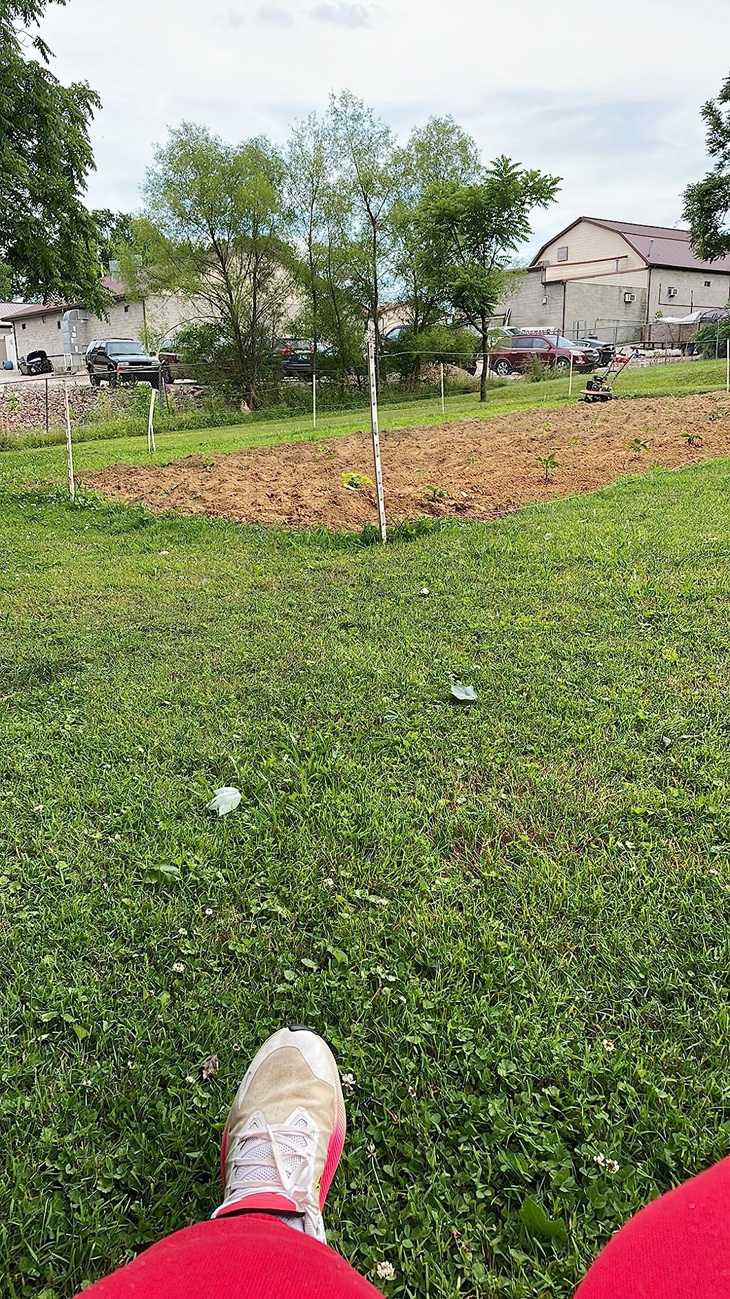 Gallagher S6 Solar Electric Fence Charger | Solar Fence Energizer for Gardens, Chickens, Goats, and Pets | Solar-Powered Fence Charger with Lithium Battery | Mounts Directly to Grounding Rod customer photo 1