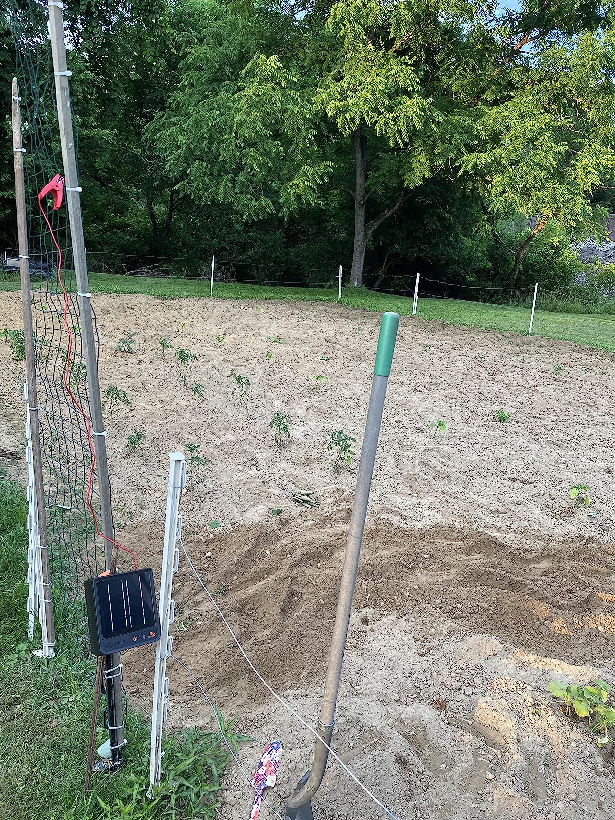 Gallagher S6 Solar Electric Fence Charger | Solar Fence Energizer for Gardens, Chickens, Goats, and Pets | Solar-Powered Fence Charger with Lithium Battery | Mounts Directly to Grounding Rod customer photo 2