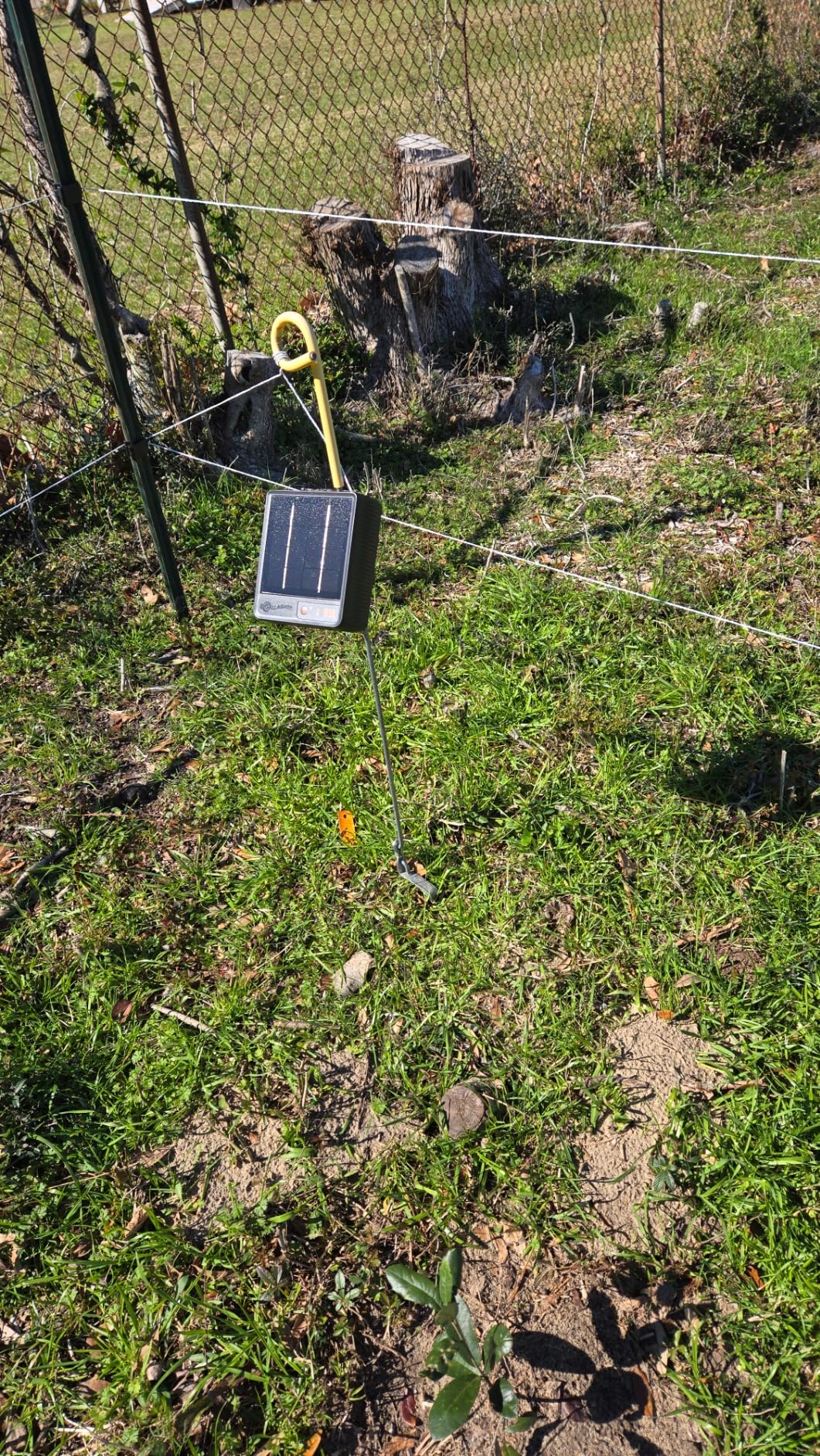 Gallagher S12 Solar Electric Fence Charger | Powers Up to 4 Miles / 18 Acres of Fence | Solar Lithium Technology, 0.12 Stored Joule Energizer | Built-in Earthing | Portable and Super Tough customer photo 1