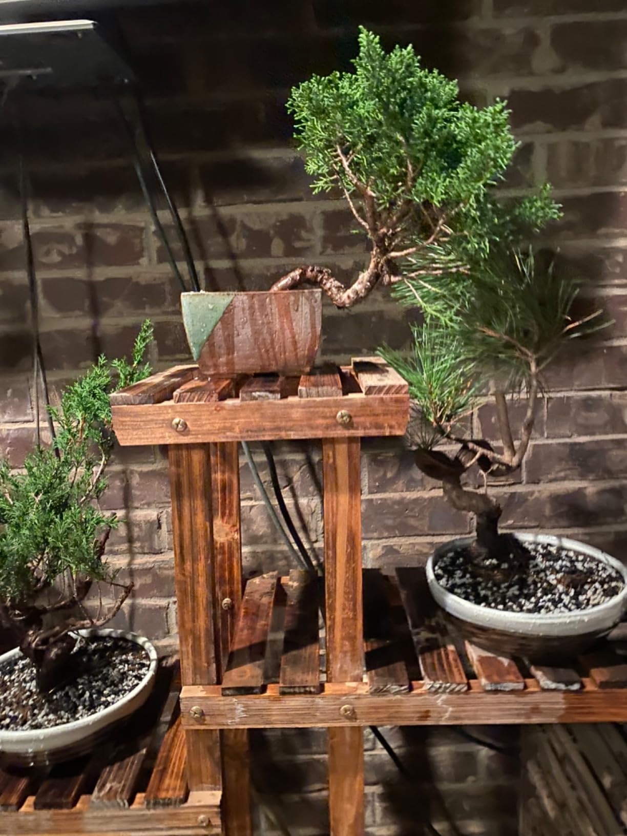 Wazakura Tokoname Series Small Handmade Rectangular Glazed Bonsai Pot with Drainage Holes 5.3 in (135 mm) Made in Japan, Ceramic Training Container and Planter - Brown Green customer photo 2