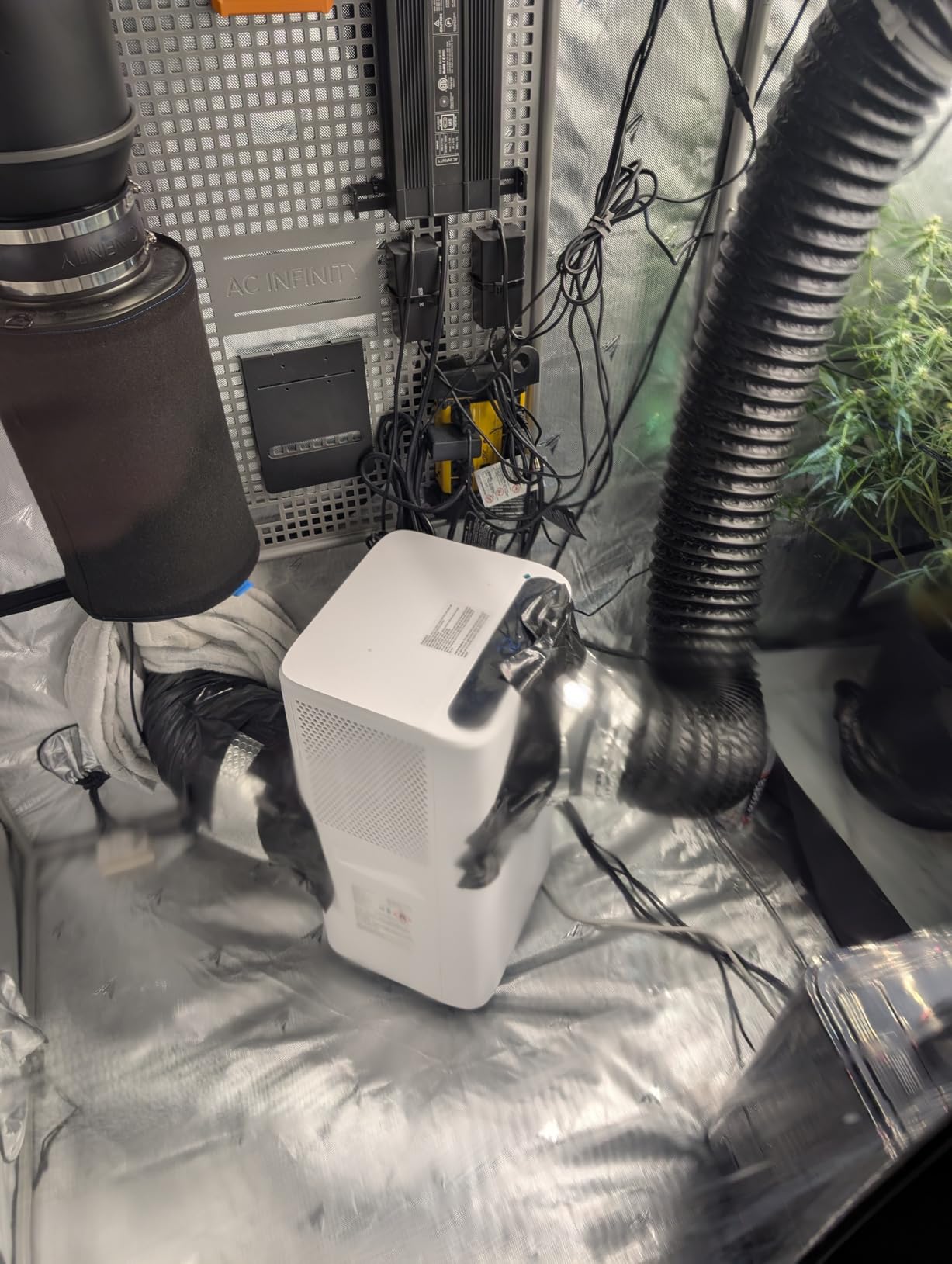 AC Infinity CLOUDLAB 899 Advance Grow Tent 8x8 - Thickest 1