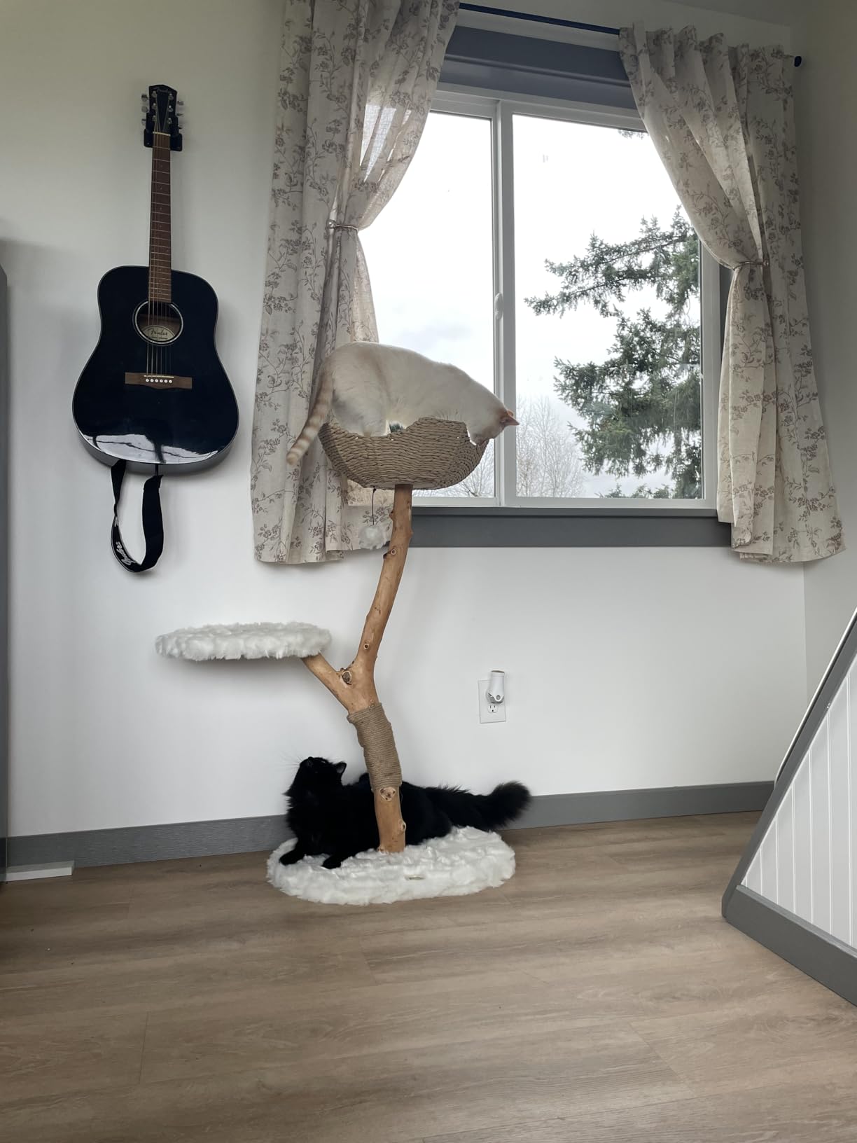 Wooden Cat Tree Tower, Modern Single Branch Cat Condo, Wood Cat Tree, Cat Climbing, Furniture for Cat, Cat Lover Gift, Cat Furniture,Cat Gift by MAU LIFESTYLE (Brown) customer photo 2