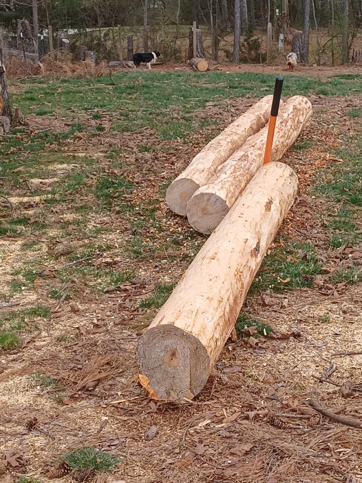 Log Peeler, Log Debarker Designed for Husqvarna and STIHL as Chainsaw Attachment, Efficient Wood Debarking Tool for Timber Processing, Work Gloves Included customer photo 1