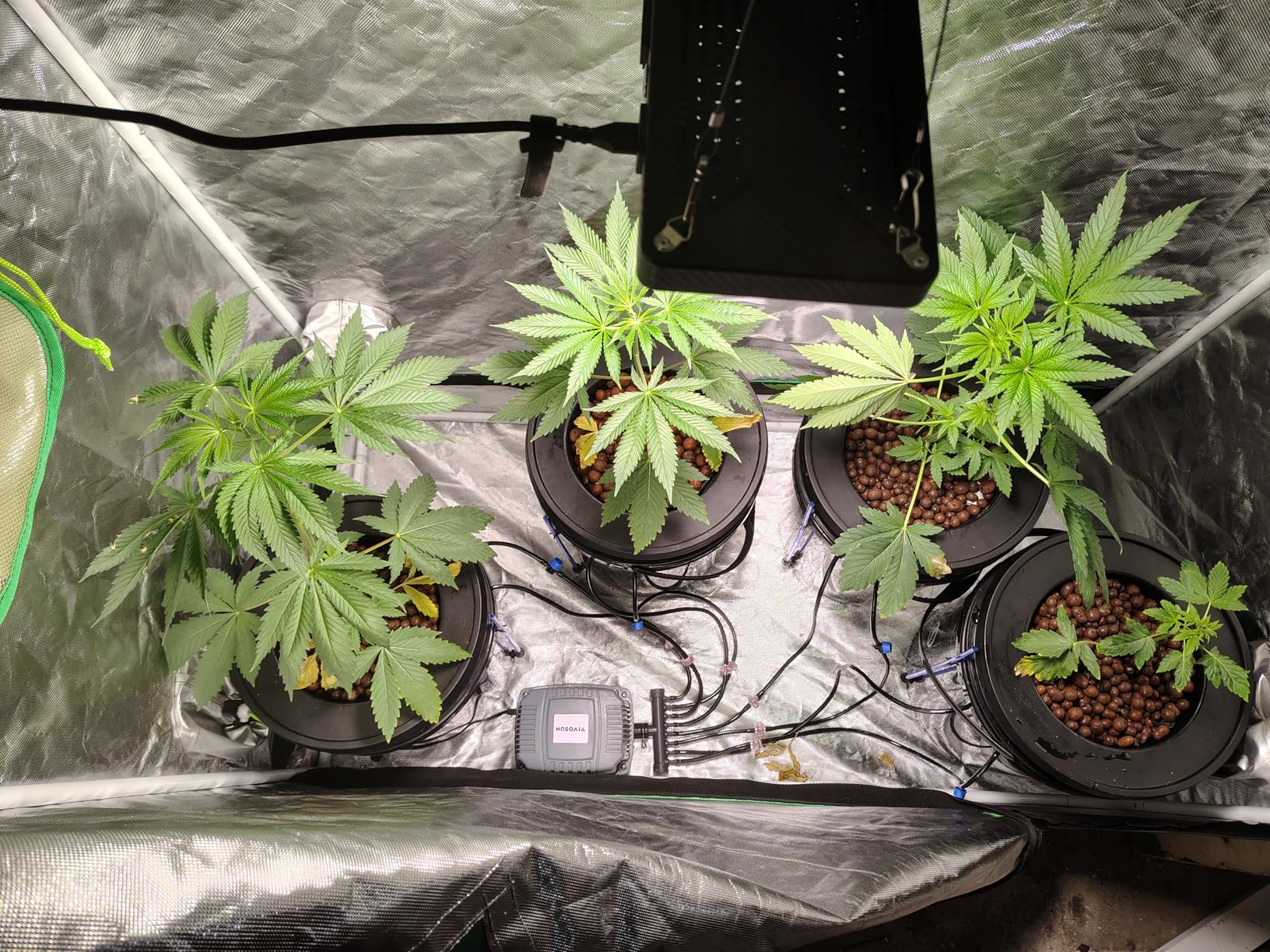 VIVOSUN DWC Hydroponics Grow System with Top Drip Kit, 5-Gallon Deep Water Culture, Recirculating Drip Garden System with Multi-Purpose Air Hose, Air Pump, and Air Stone (4 Buckets + Top Drip Kit) customer photo 2