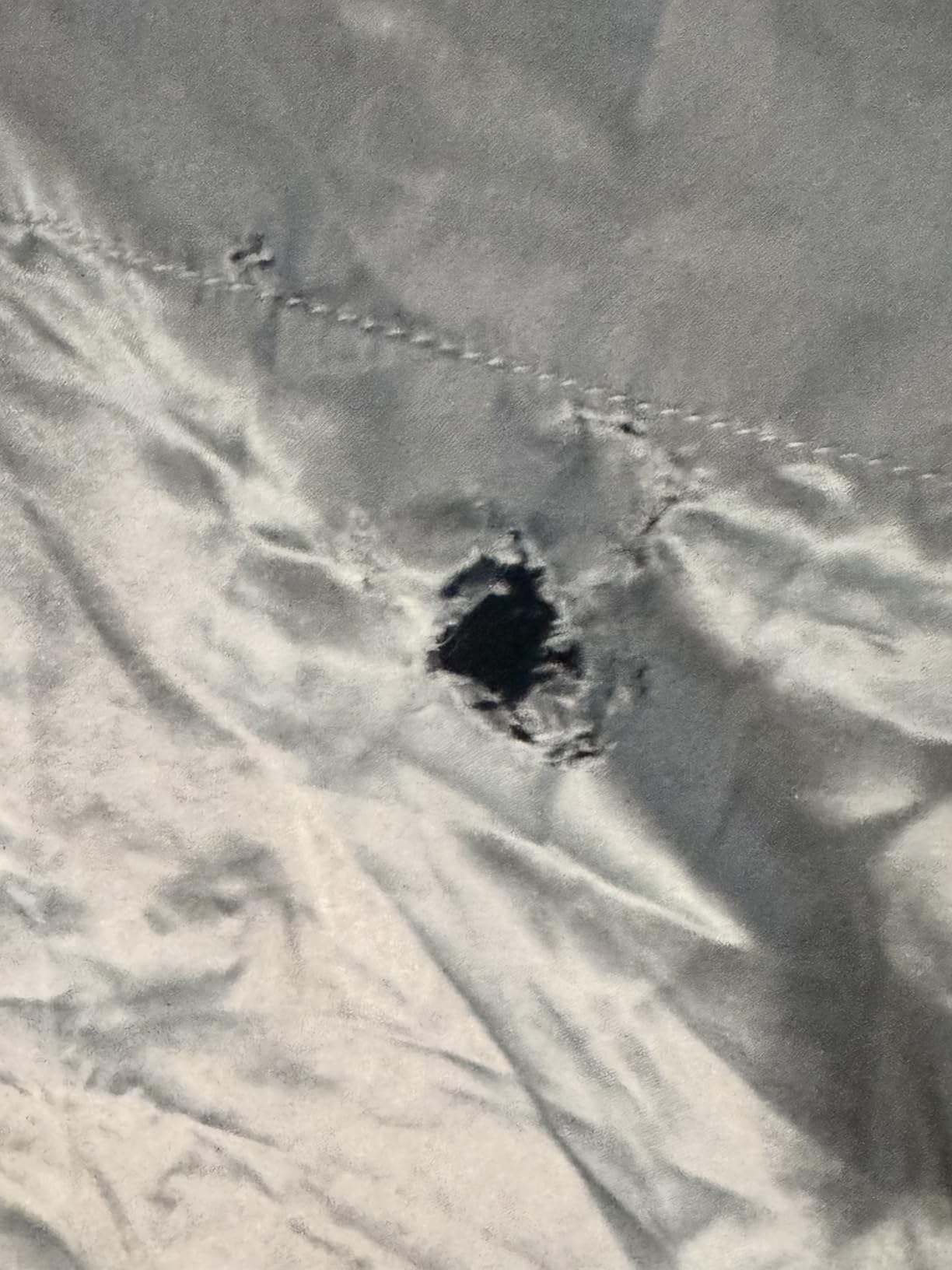 Colorado Home Co SUNDAYSILKS | 100% Mulberry Silk Bed Sheets | King Size | 4PC Set | Soft & Durable | Grade 6A Organic Real Silk | Off White customer photo 1