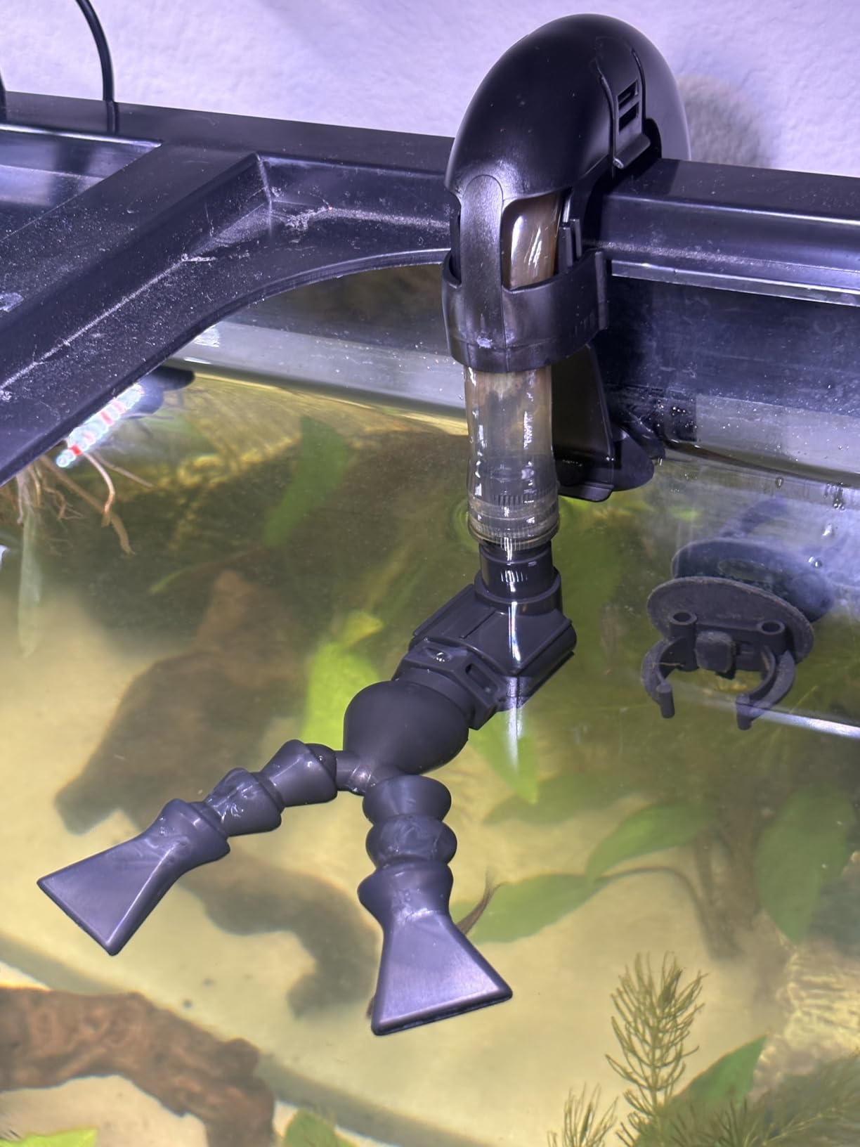 79 Gal Aquarium Chiller, 1/3 HP Fish Tank Water Chiller with Quiet Design Compressor, Refrigeration for Hydroponic System Axolotl Jellyfish Coral Reef 300L, Black customer photo 1