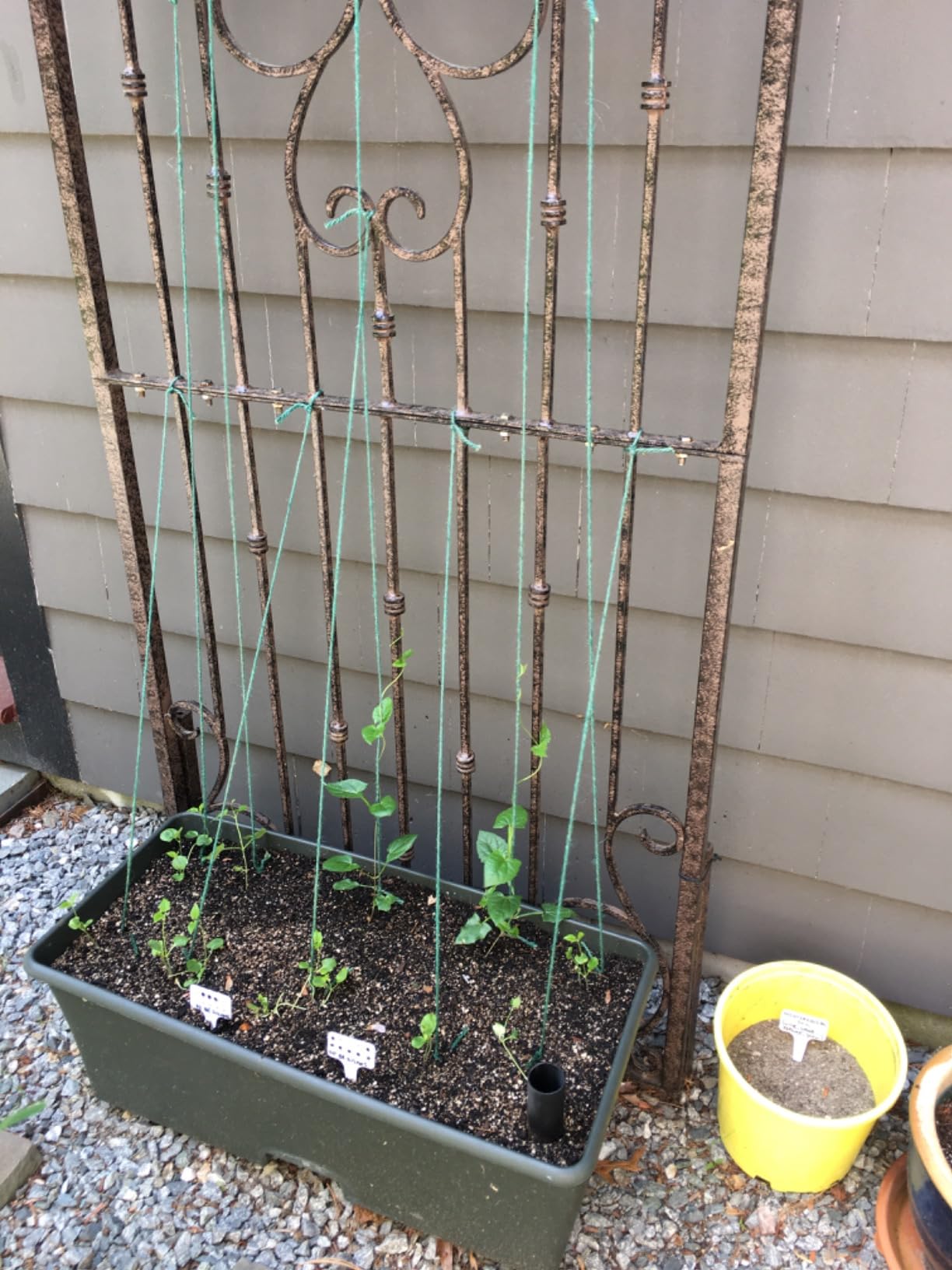 Bstrip DIY Plant Shelf with Grow Light, Grow Light Shelf with Adjustable Rack and Wheels, Plant Stand, 8-Pack 192W T8 Full Spectrum Lamps, ideal for Seed Starting, Seed Tray, 29.5