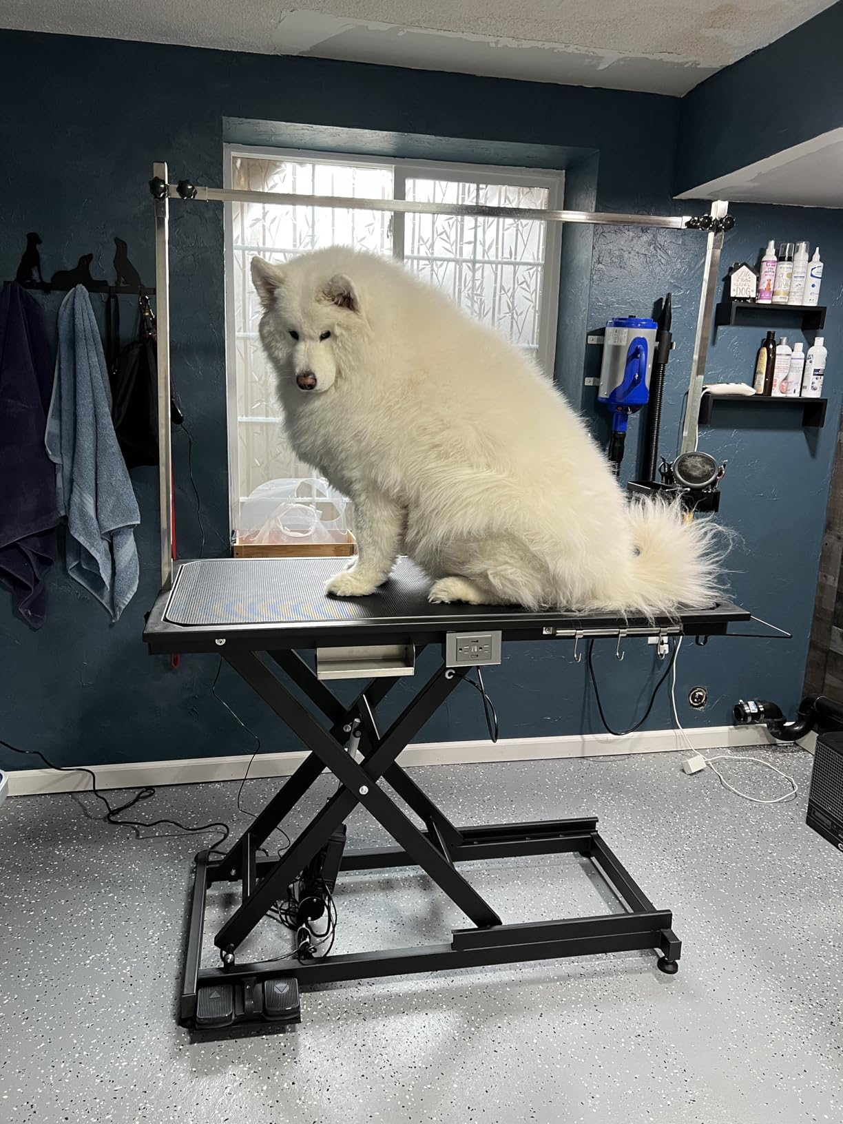 Hydraulic Pet Dog Grooming Table for Dogs, Heavy Duty Professional Large Drying Table with Adjustable Arm Noose, Maximum Capacity Up to 300lbs, 42.5''/Black customer photo 2