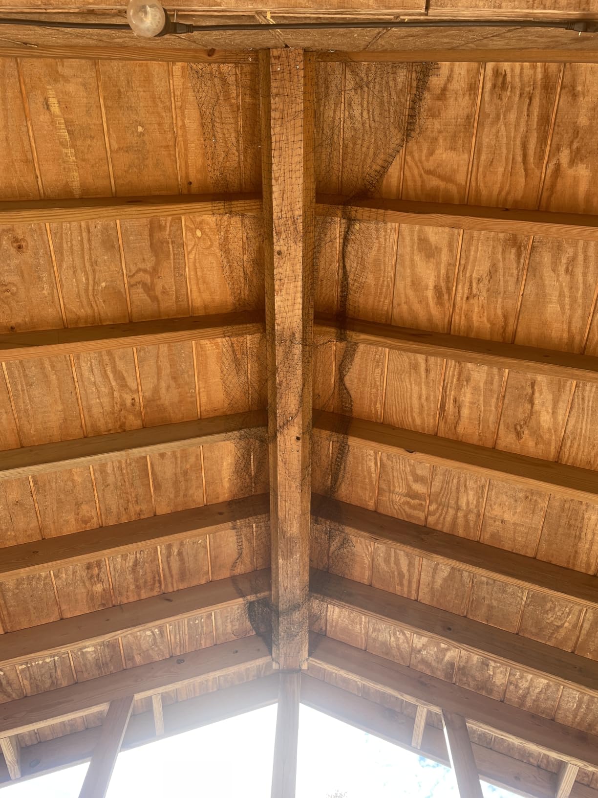 KLEWEE Bird Netting, 7.5 x 100 FT Heavy Garden Netting Deer Netting for Protect Fruit Trees, Plants and Vegetables Against Birds, Deer, Squirrels and Other Animals customer photo 2