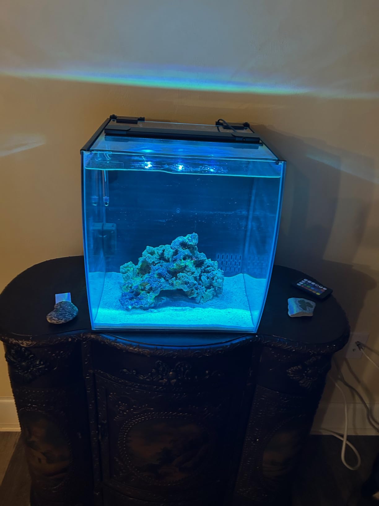 Aquatop Vertical Bowfront Glass Aquarium, 5-Gallon - All-in-One Tank with Filter and LED Light, High Clarity Glass for Freshwater & Saltwater customer photo 1