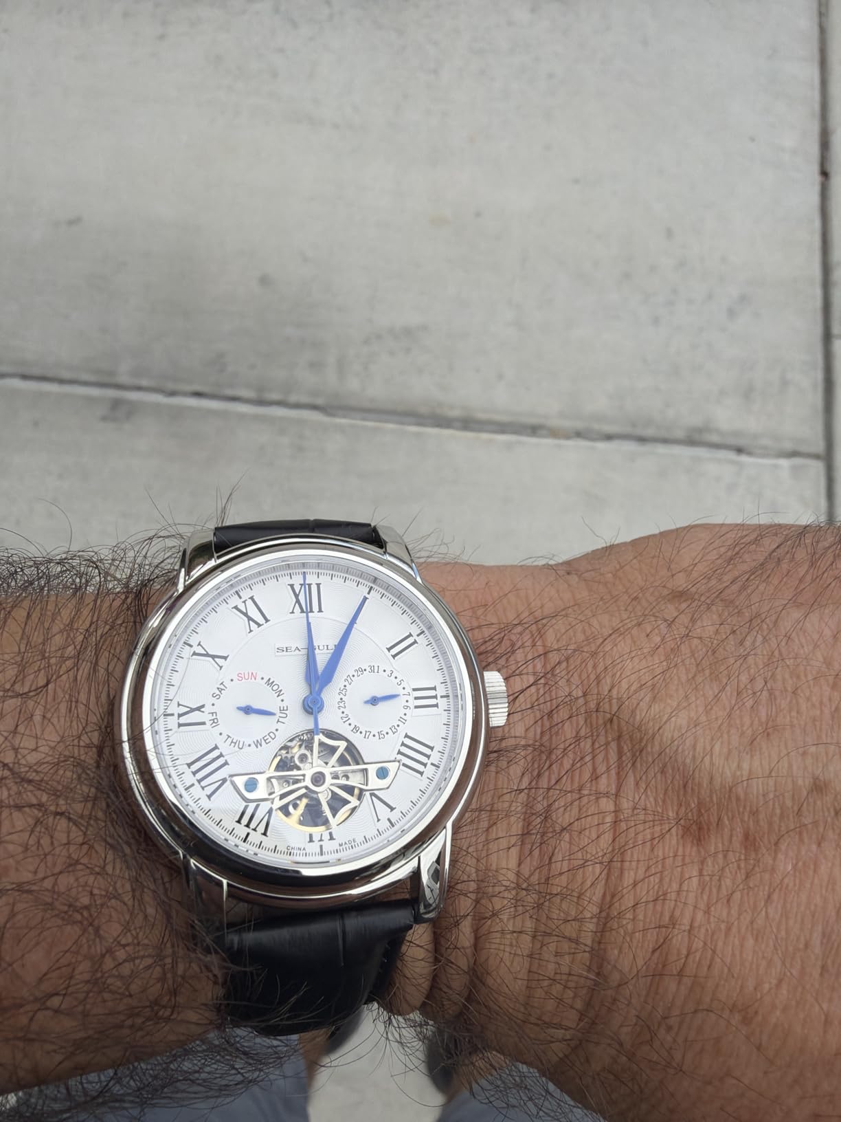 2021 Seagull Men's Watch Hollow Automatic Mechanical Watch Calendar Potential Multifunction Flywheel Business Watches, White- D819.626, Strap customer photo 2