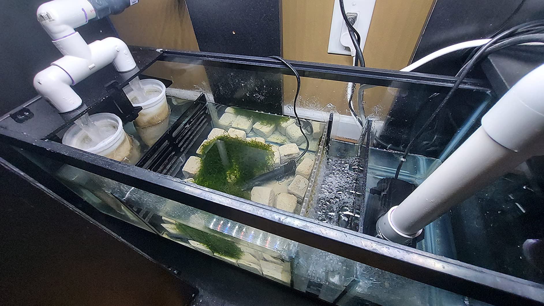 Adjustable Sump Baffle Kit - Refugium Kit for 20 Gallon Long Tank - Reef Aquarium - Saltwater Aquarium Filter System- Protein Skimmer Sump customer photo 2