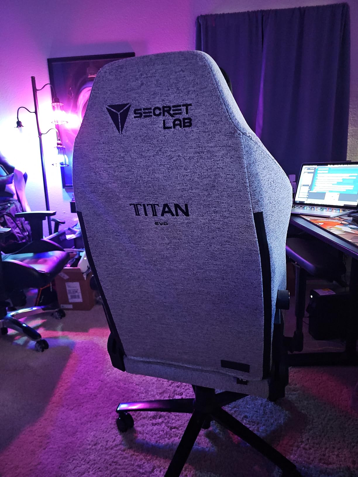 Secretlab Titan Evo Frost Blue Gaming Chair - Reclining, Ergonomic & Heavy Duty Computer Chair with 4D Armrests, Magnetic Head Pillow & Lumbar Support - Big and Tall Up to 395 lbs - Blue - Fabric customer photo 1