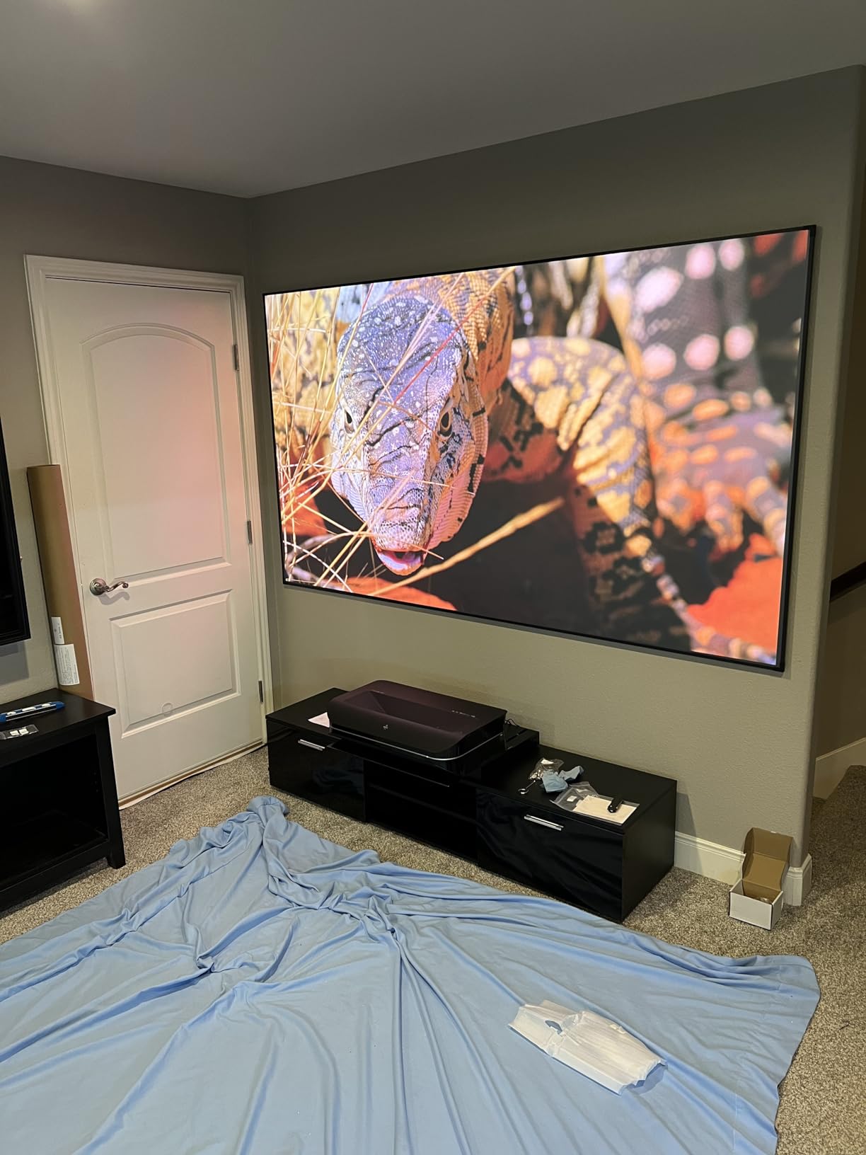 AWOL VISION Ambient Light Rejecting (ALR) Projector Screen for Ultra Short Throw(UST) Projector, 100