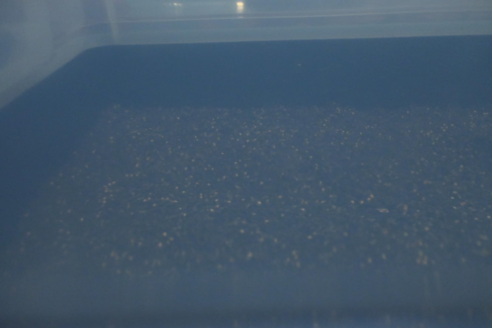 North Spore + Max Yield Bins 'Boomr Bag' Monotub Kit | Complete Dung-Loving Mushroom Grow Kit | Includes Monotub, Sterile Substrates, Coco Coir & Filters - Just Add Spores customer photo 1