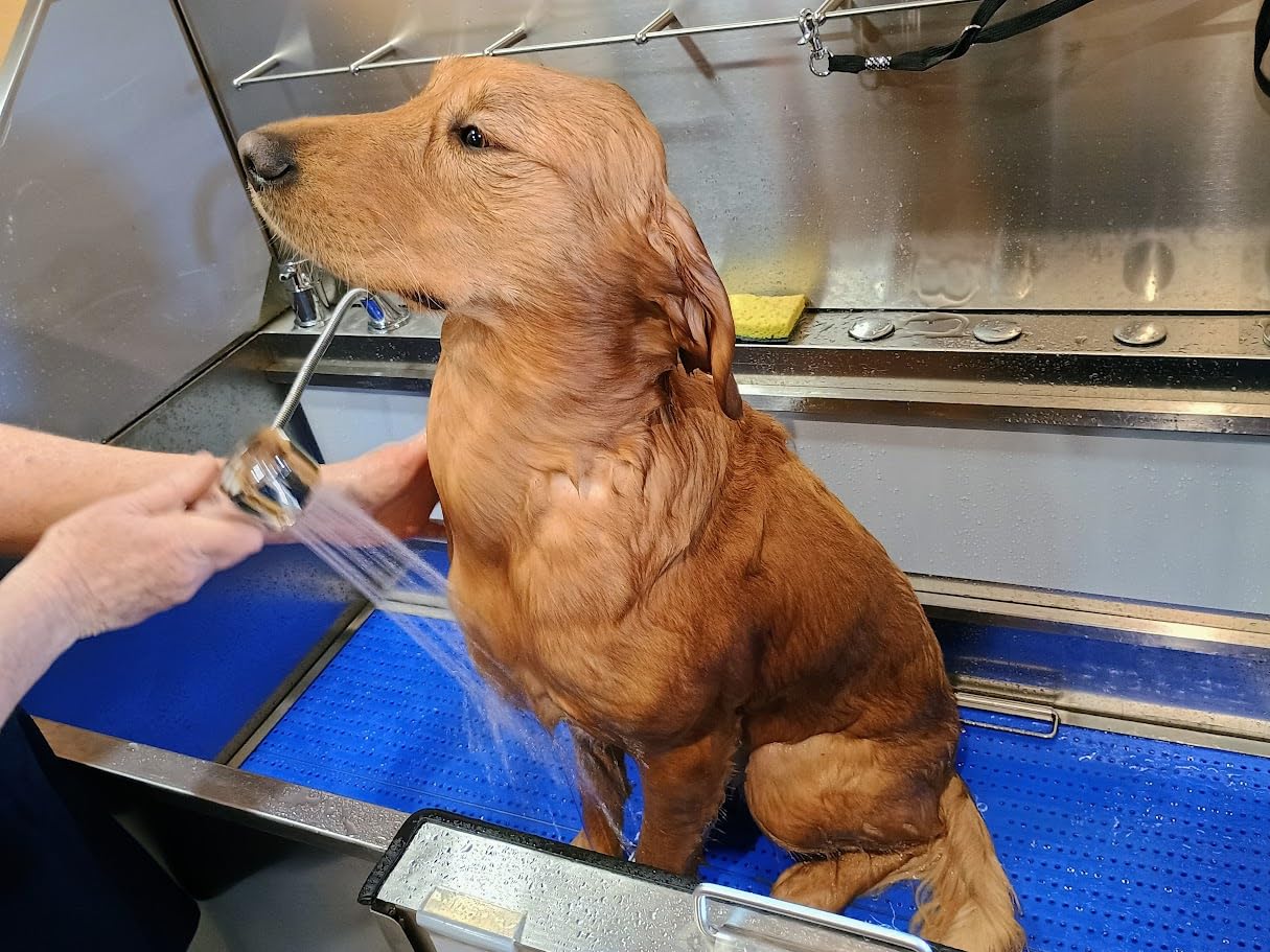 KANIS Professional Dog Washing Station 304 Stainless Steel Pet Wash Sink & Grooming Bathtub w/Shower, Floor Grates and Storage for Large, Medium & Small Pets (Silver, 50 Inches, Left Ramp, 1 Drawer) customer photo 1