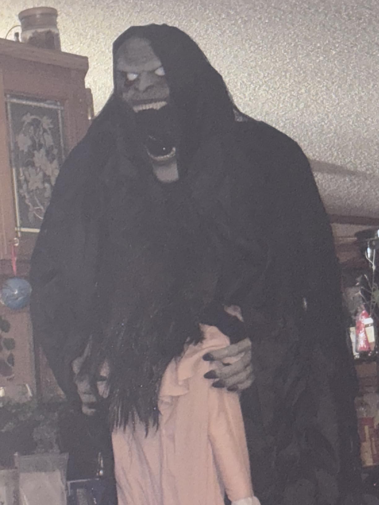 Haunted Hill Farm Soul Sucker Demon Reaper with Child by Tekky, Motion-Activated Talking Halloween Animatronic for Creepy Indoor or Covered Outdoor Halloween Decorations, Plug-in or Battery Operated customer photo 2