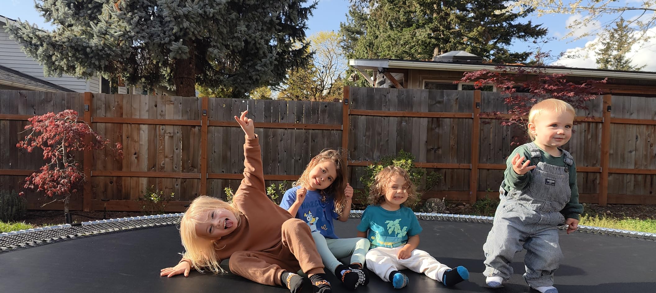 LeJump 14FT 12FT 10FT Springless Outdoor Trampoline with Net, ASTM Approved Backyard Big Trampolines for Kids and Adults customer photo 1