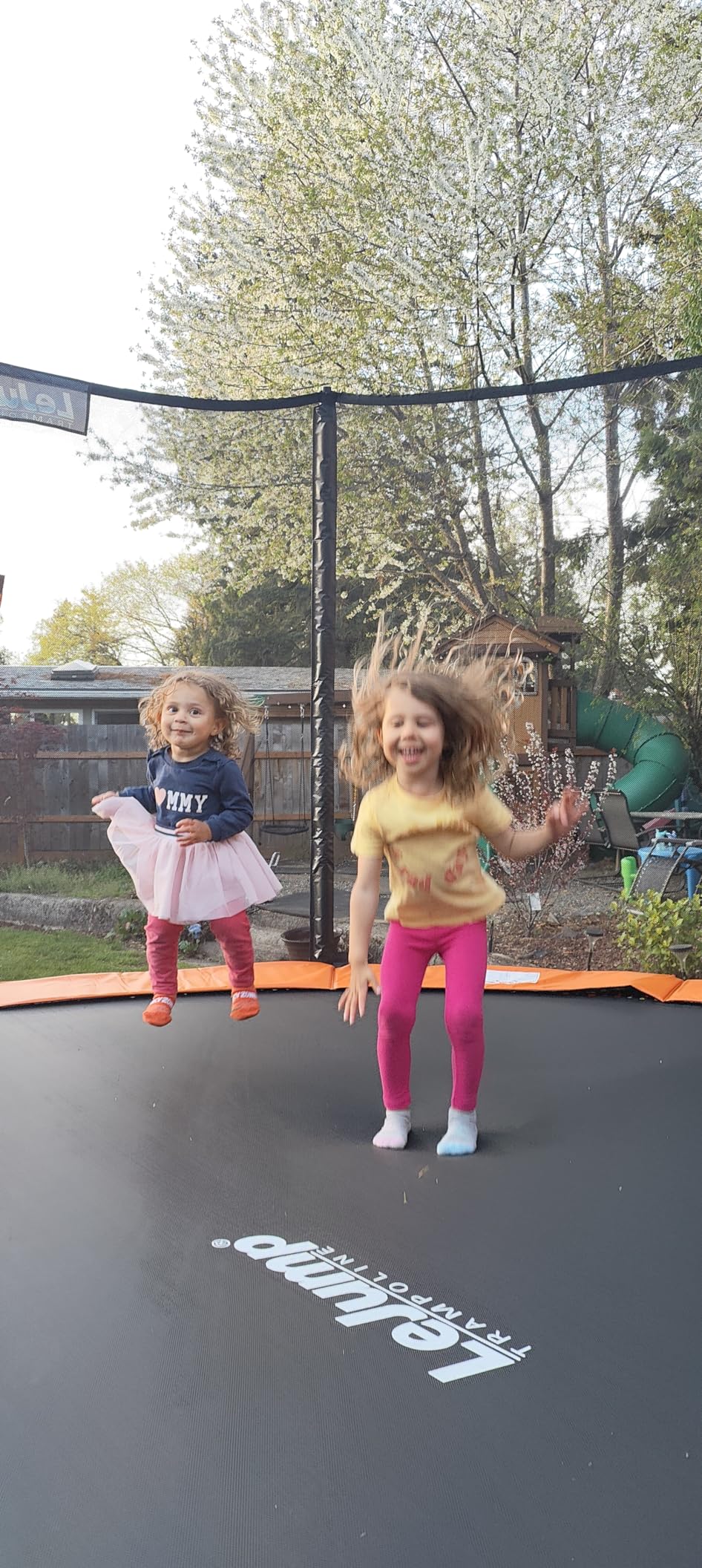 LeJump 14FT 12FT 10FT Springless Outdoor Trampoline with Net, ASTM Approved Backyard Big Trampolines for Kids and Adults customer photo 2