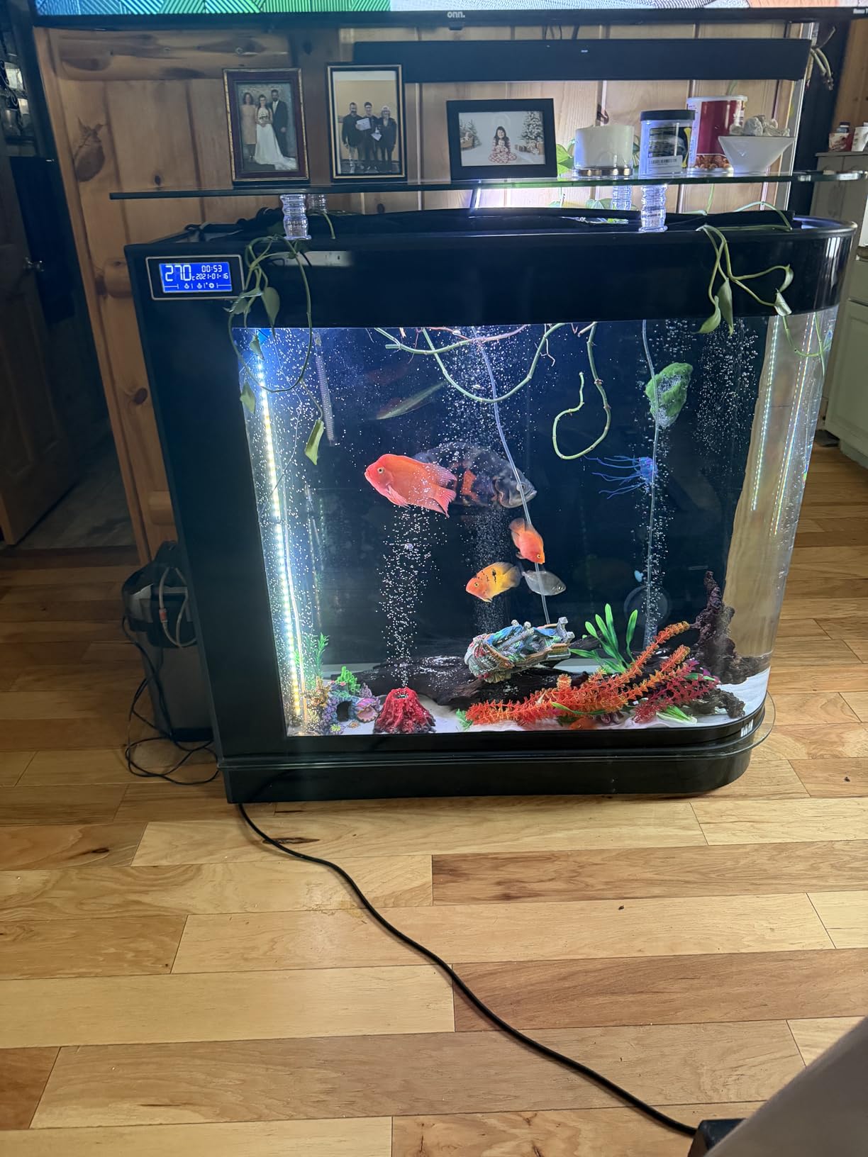 Black Fish Tank 124Gal LED Aquarium Kit Upright Fish Tank Large Glass Fishbowl Glsaa Bar for Patios Living Office Room and Kitchen customer photo 1