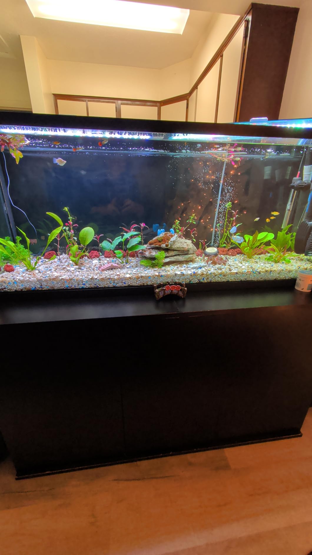 Fluval FX2 High Performance Canister Aquarium Filter - Multi-Stage Filtration, Built-in Powered Water Change System, and Basket-in-Basket Tray Design customer photo 2