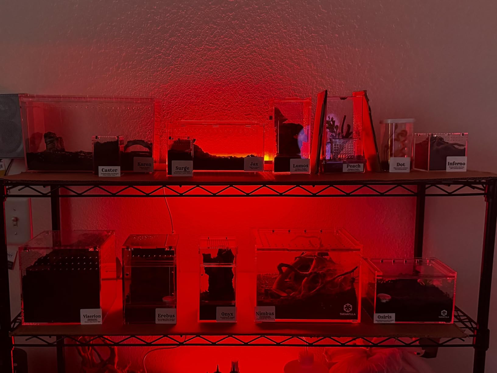 3 Pcs RGB Under Cabinet Lights Kit, Smart App and Remote Control Under Cabinet Lighting, Dimmable Under Counter Lights for Kitchen, Plug in LED Lights Bar for Cabinet, Counter, Workbench, Desk customer photo 1