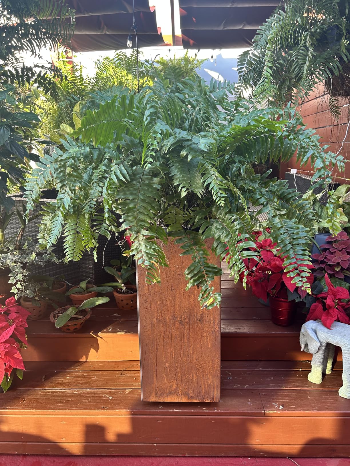 Veradek Corten Steel Series Pedestal Planter - Tall Corten Steel Planter for Outdoor Porch/Patio customer photo 1