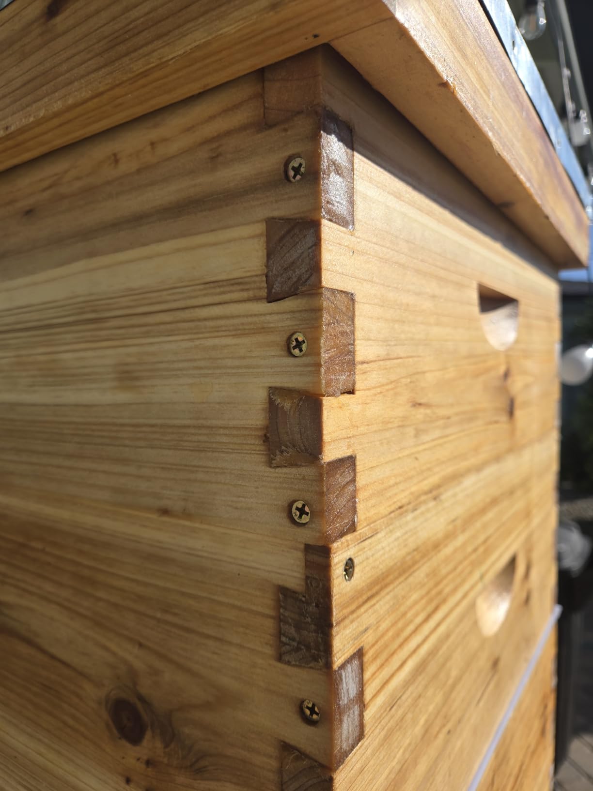 MayBee 10-Frame Langstroth Beehive Dipped in 100% Beeswax, Complete Bee Hives Starter Kit Includes 2 Deep Hive Bee Box and 2 Bee Hive Super with Beehive Frames and Foundation customer photo 1