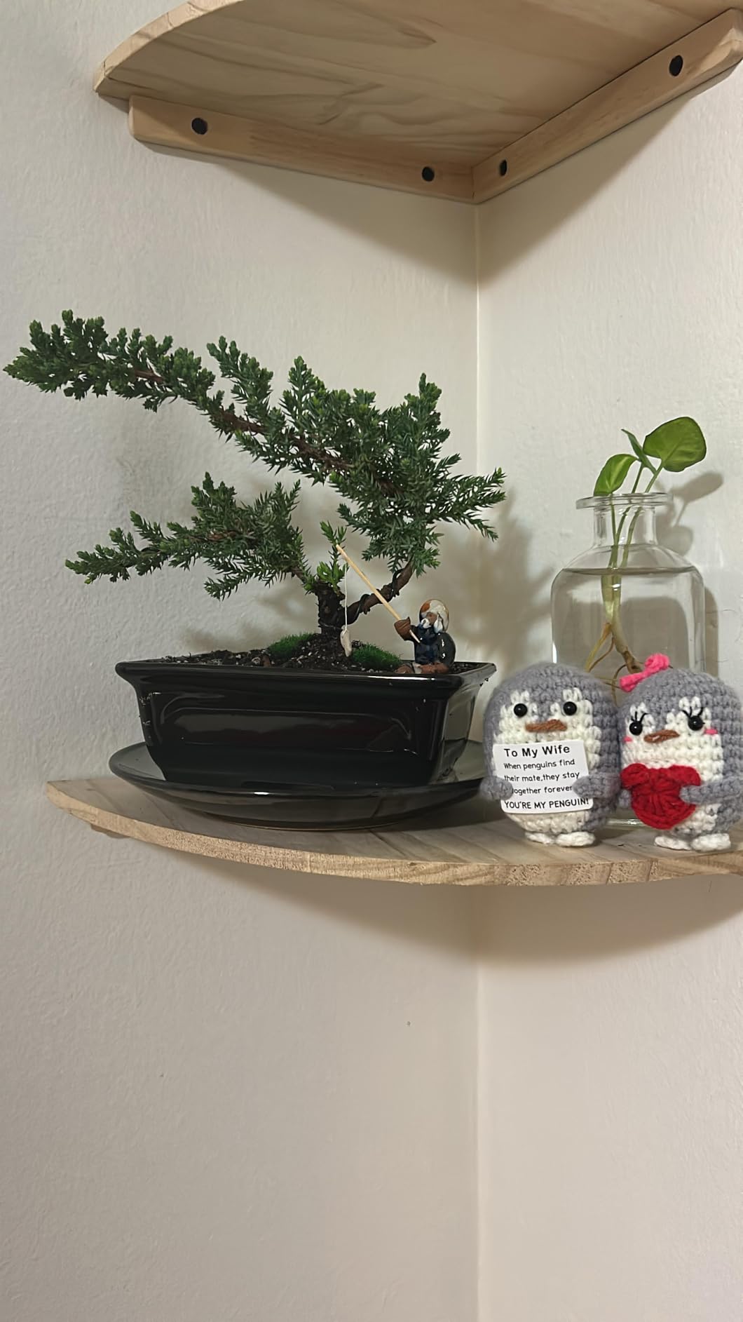 Live Dwarf Juniper Bonsai Tree About 6 Years Old with Cute Ceramic Fisherman | Juniper Bonsai Tree | Indoor/Outdoor | 100% Handcrafted| Home and Office Décor | Best Gift for Holiday customer photo 1