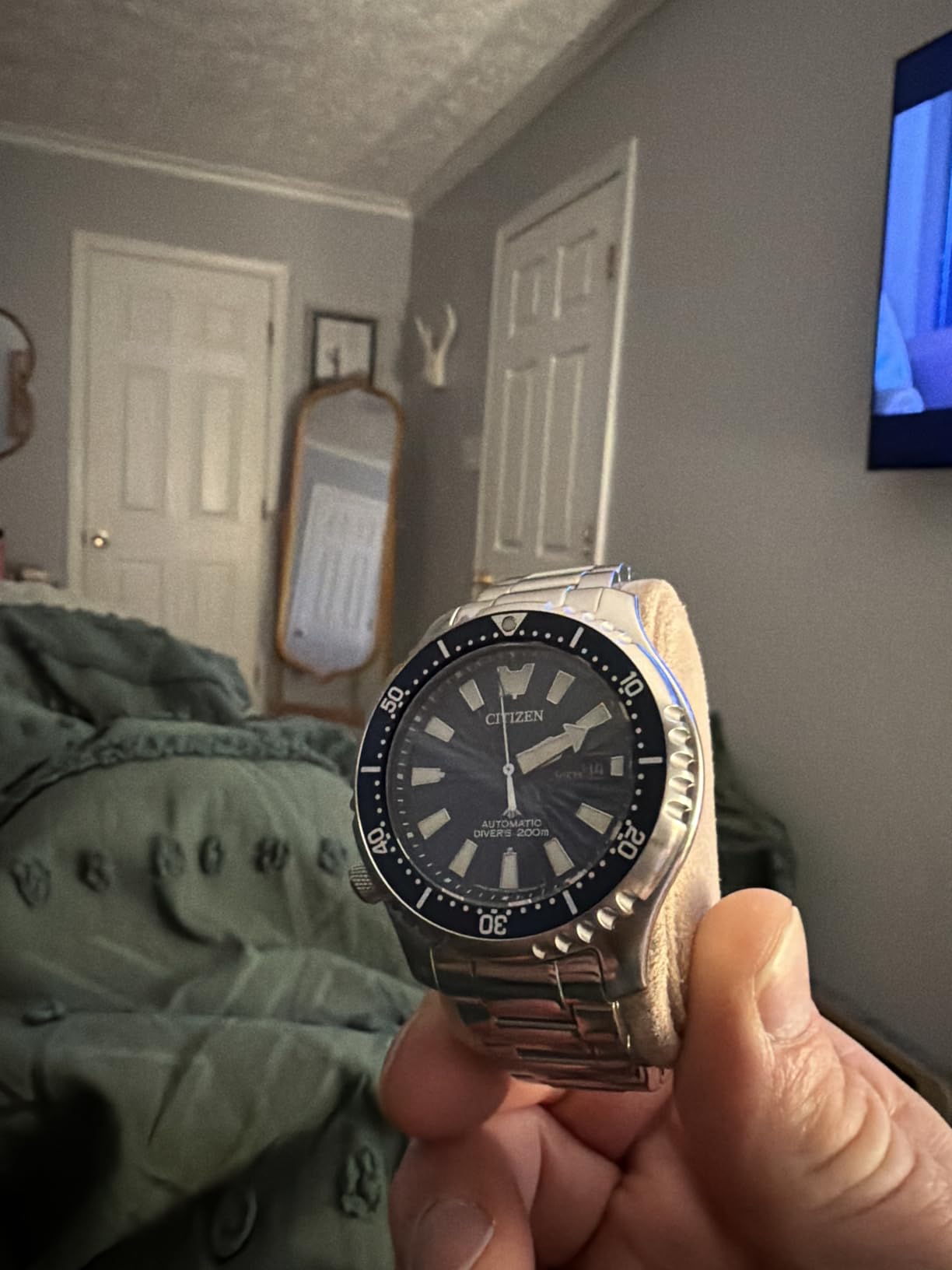 Citizen Men's Promaster Dive Fugu customer photo 2