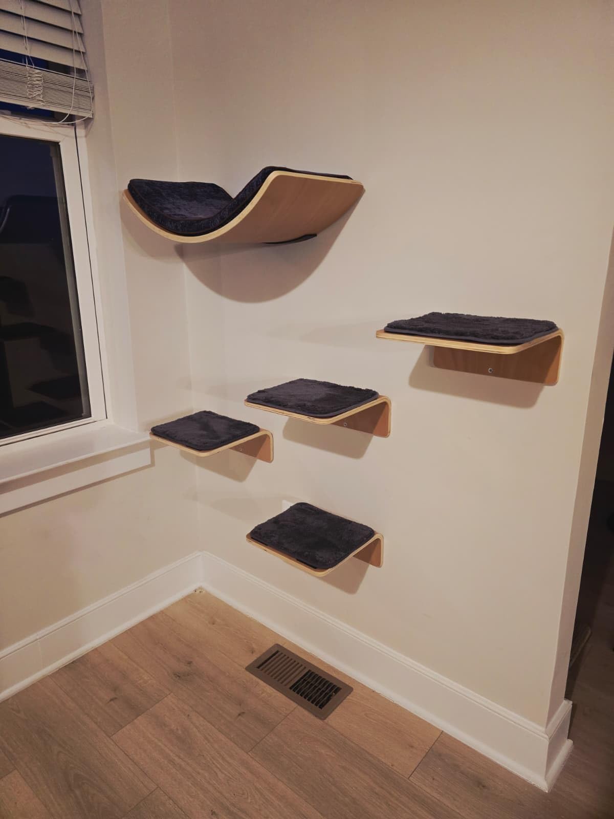 Cat Wall Shelf with Two Steps - Wave Cat Shelves and Perches for Wall - Wall Mounted Cats Furniture for Sleeping, Playing, Climbing, and Lounging customer photo 1