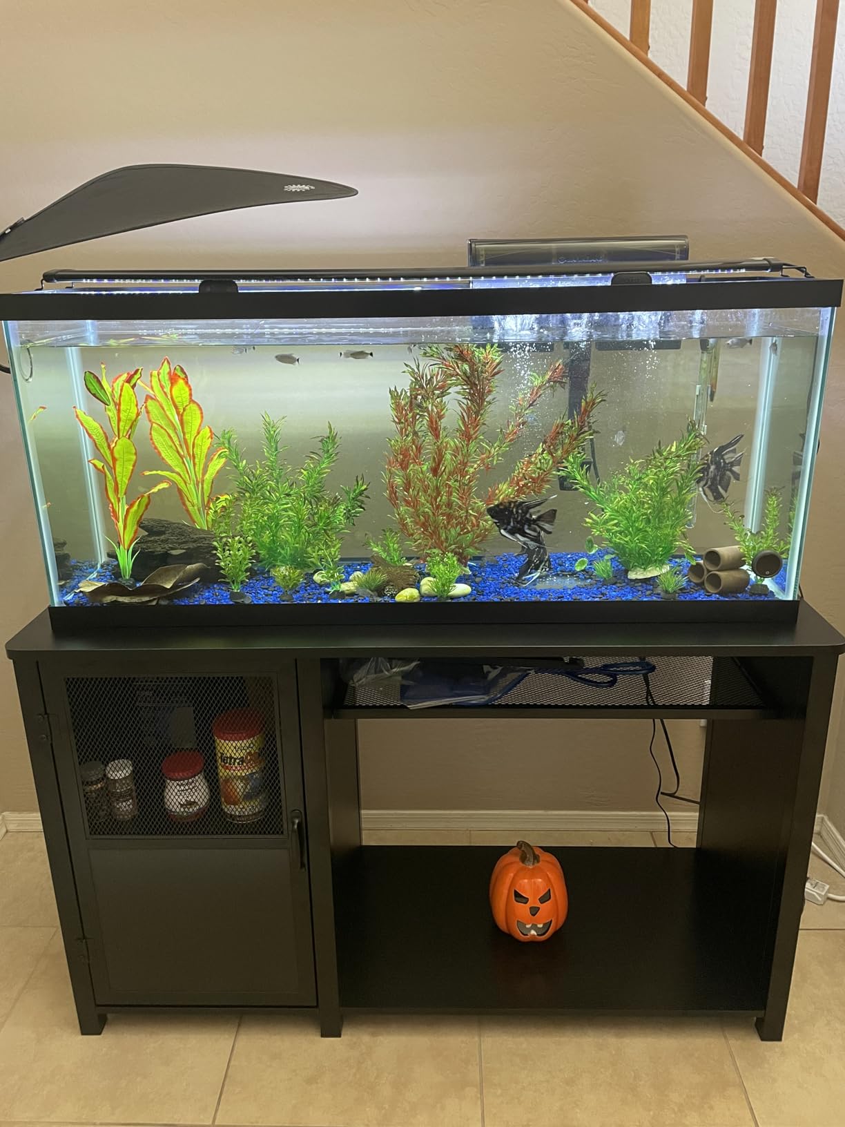 55-75 Gallon Fish Tank Stand，Aquarium Stand with Cabinet Storage and Heavy Duty Metal Frame,52