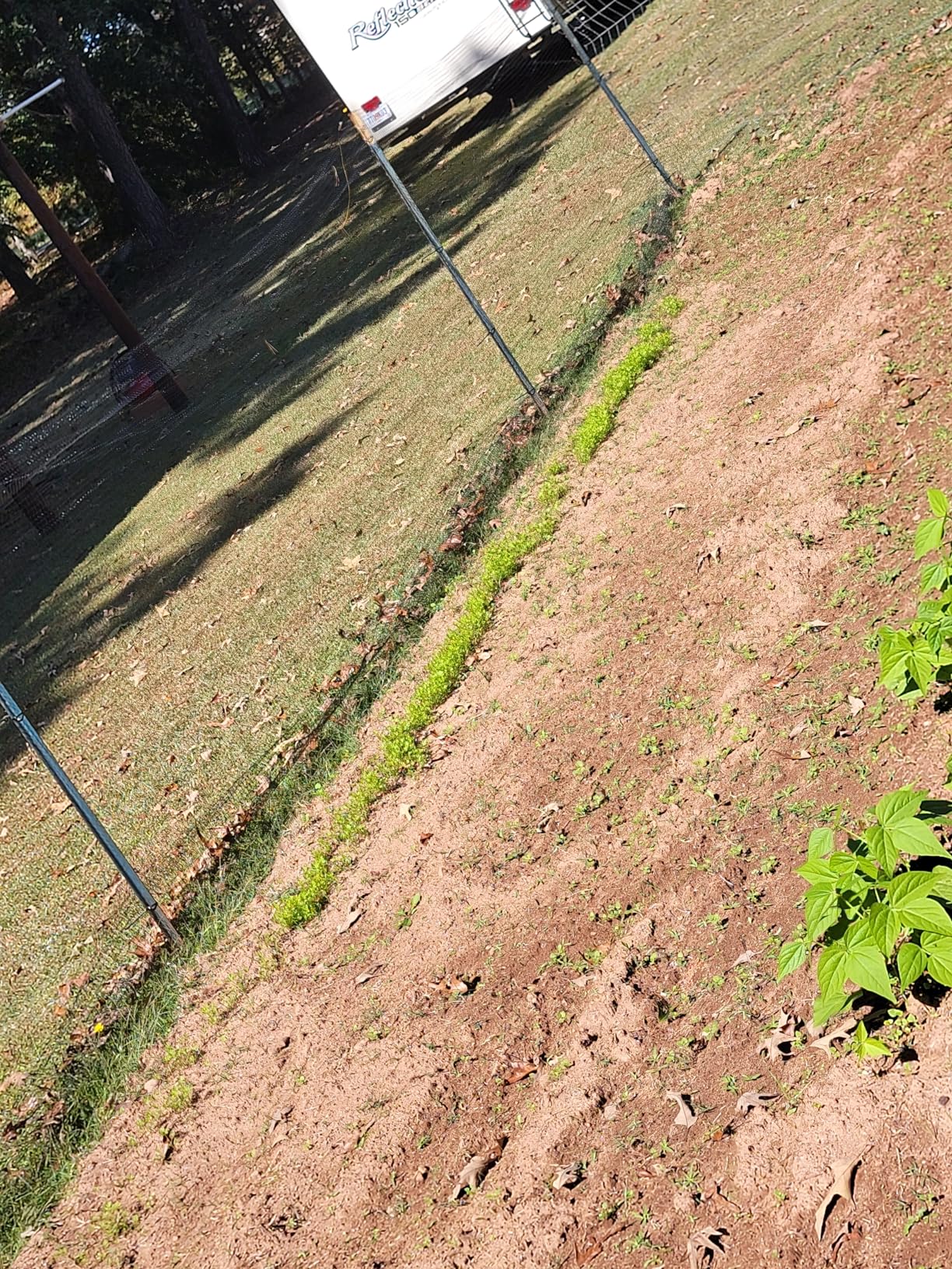 Deer Netting Fence, 8ft x 100ft Bird Netting Heavy Duty Garden Netting for Garden Protection Fruit Trees Vegetable Plants Against Birds, Deer and Other Animals customer photo 1