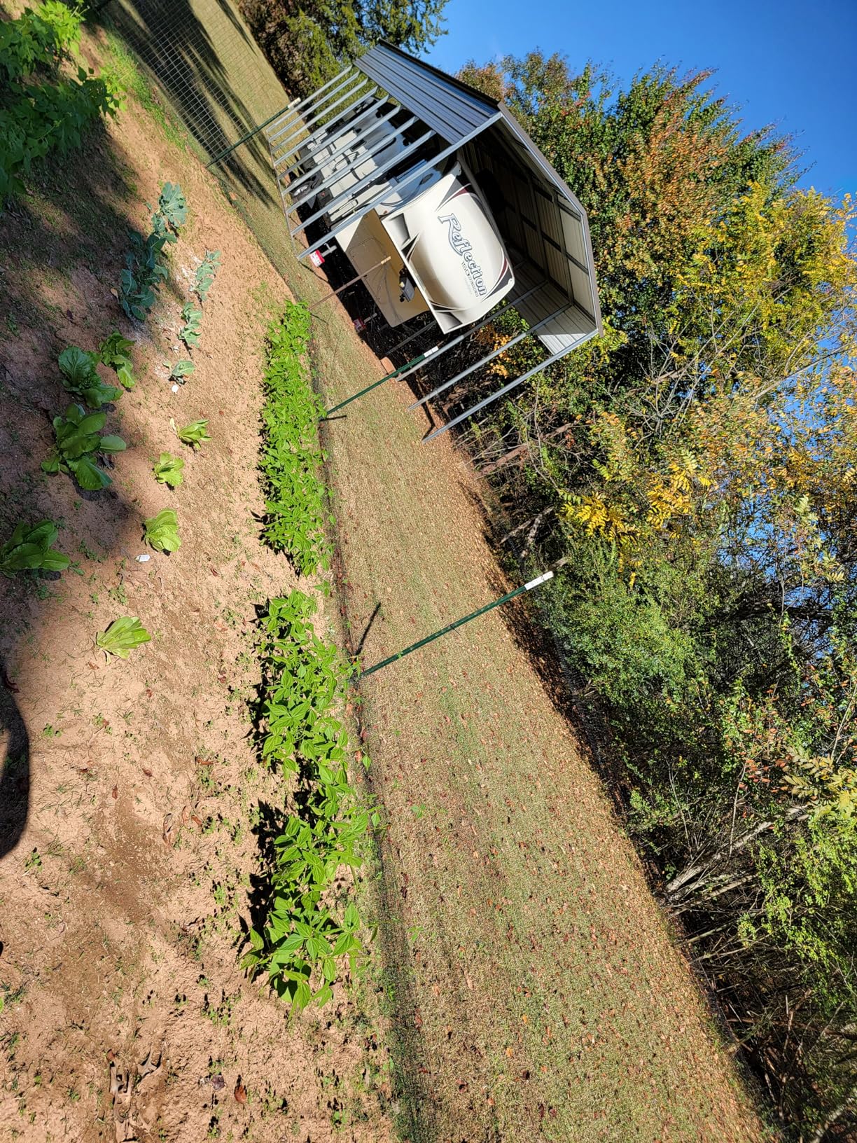 Deer Netting Fence, 8ft x 100ft Bird Netting Heavy Duty Garden Netting for Garden Protection Fruit Trees Vegetable Plants Against Birds, Deer and Other Animals customer photo 2