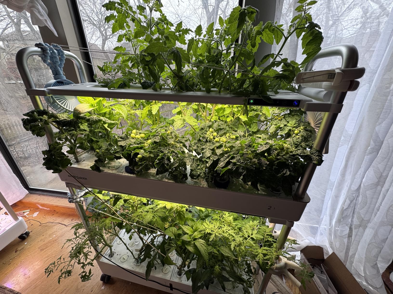 Ahopegarden Indoor Garden Hydroponics Growing System Kit: 60 Pods Indoor Herb Garden with LED Grow Light - Plant Germination Kit, 32L Large Capacity Hydroponic Tower for Vegetables Fruits Flowers customer photo 2